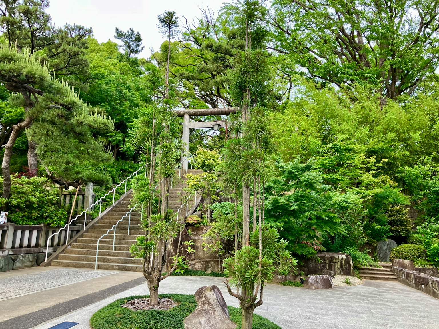 被郁郁葱葱的绿树环绕的神社鸟居和台阶的风景