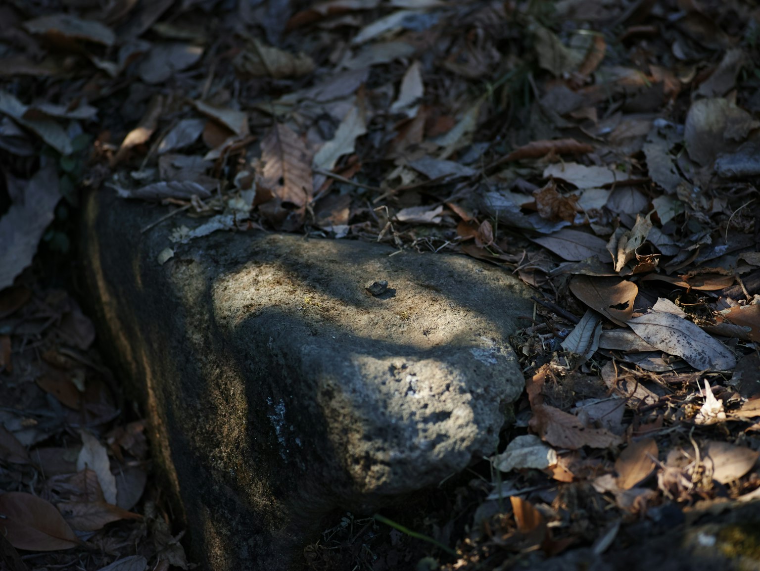 photo-Zn67XDtgBg2jlZMT9hNb-image