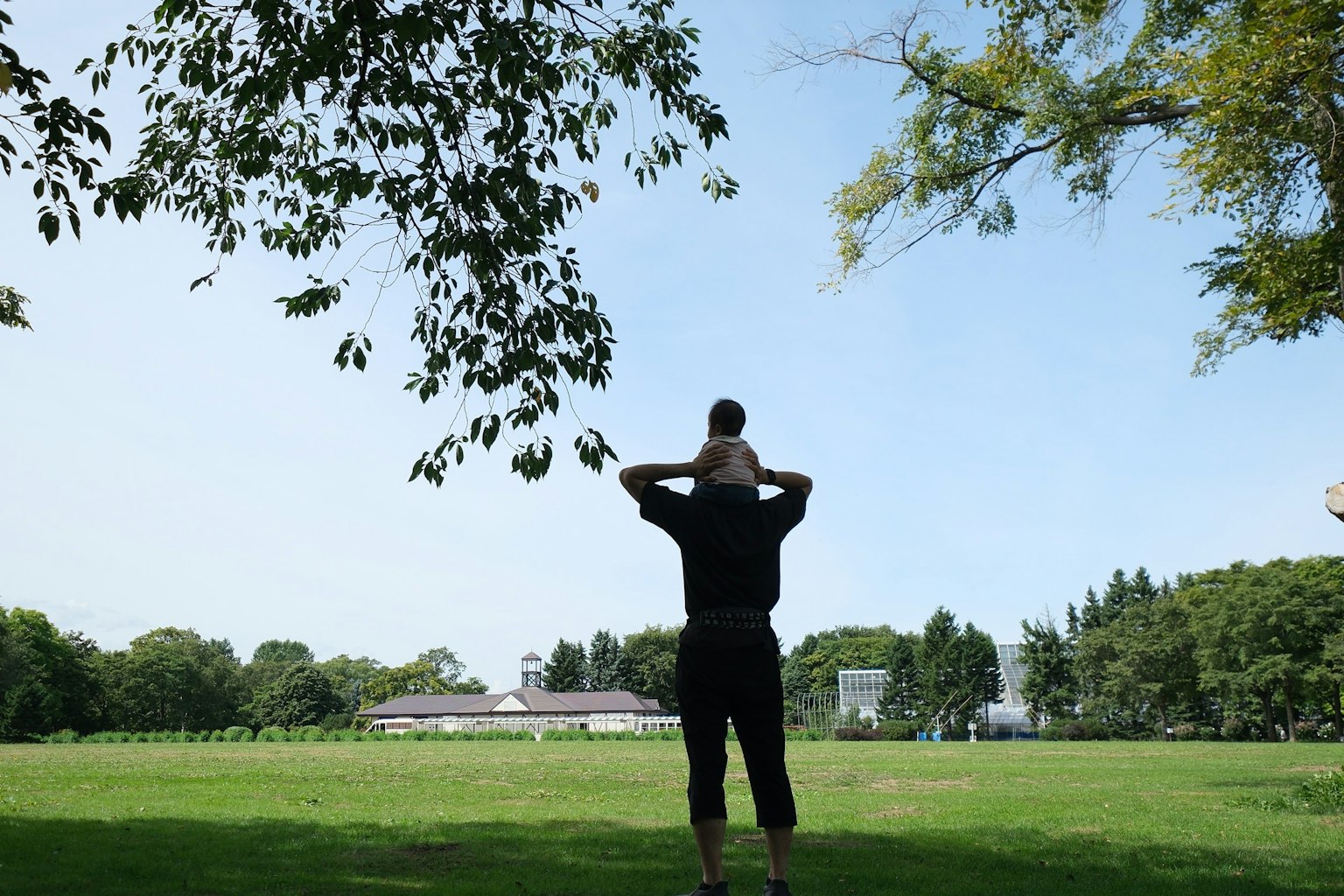 公園で子供を肩に乗せた父親のシルエット 緑の草原と青い空が広がる