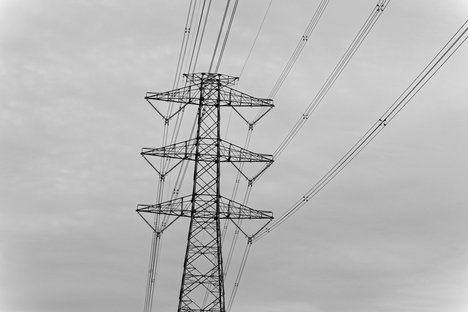photo-ZnZTPjVxu3k3iSPlCp7t-image