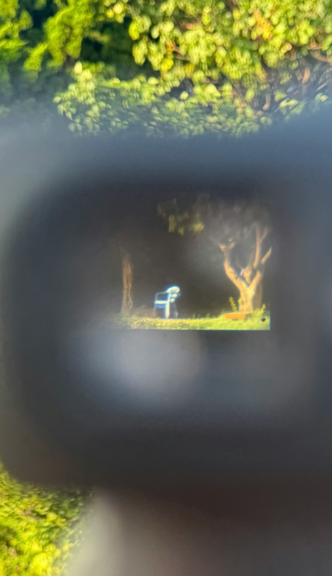 photo-ZndCc14aFeElfDTlti93