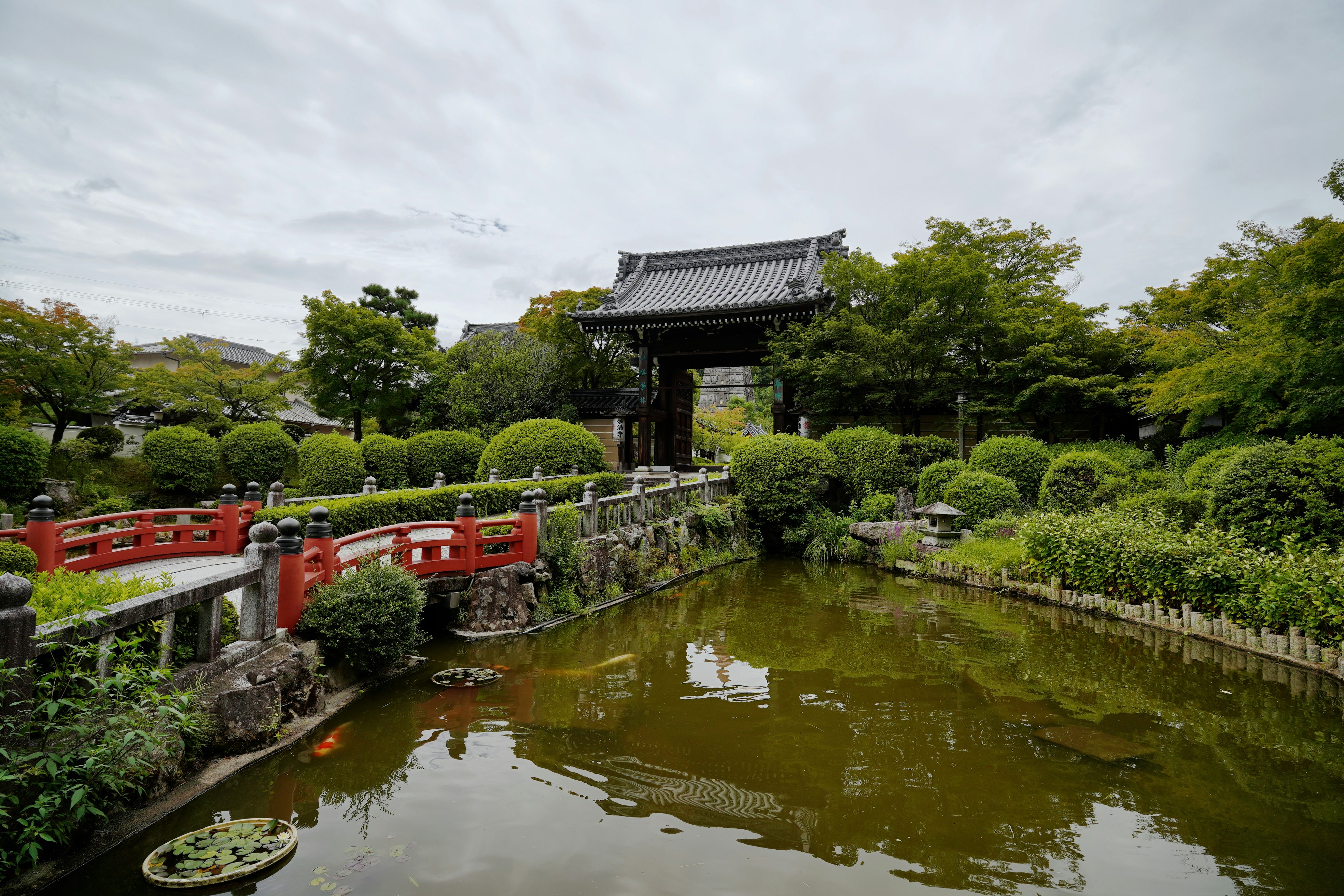 妙満寺の池と赤い橋がある庭園の景観