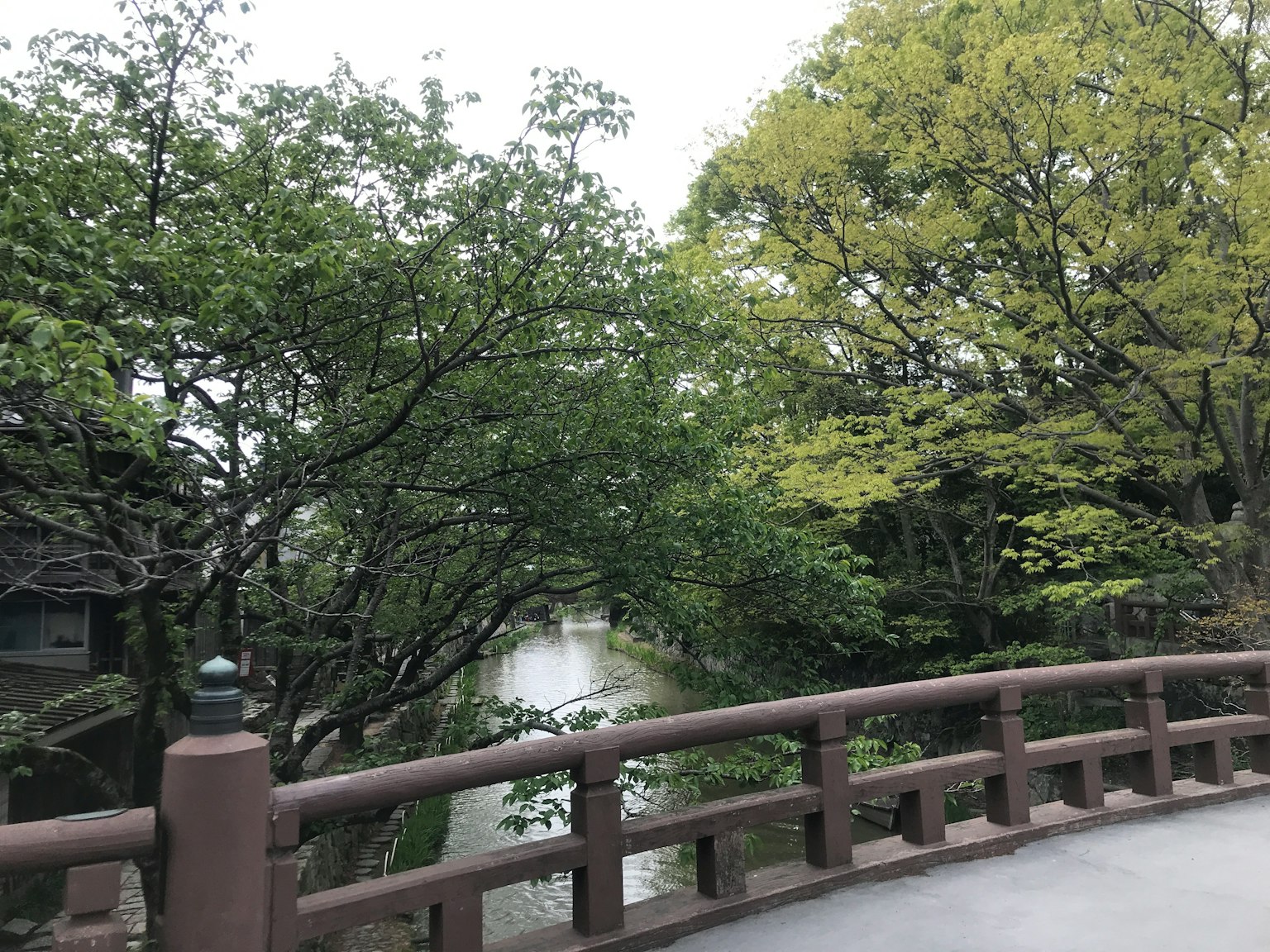 ทัศนียภาพของสะพานที่มีต้นไม้เขียวขจีและทางน้ำสงบ