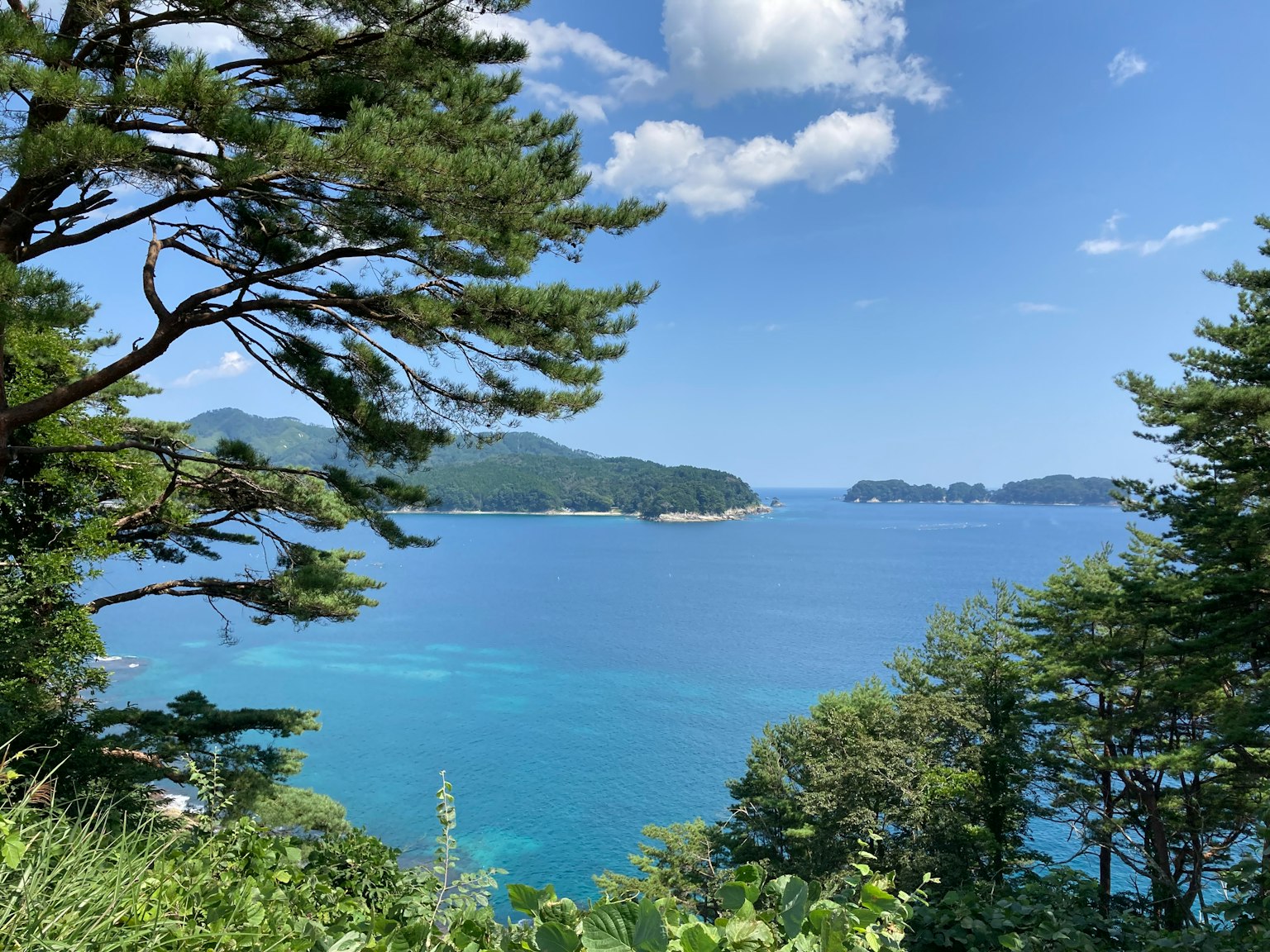 Scenic view of blue sea and green trees under a clear sky