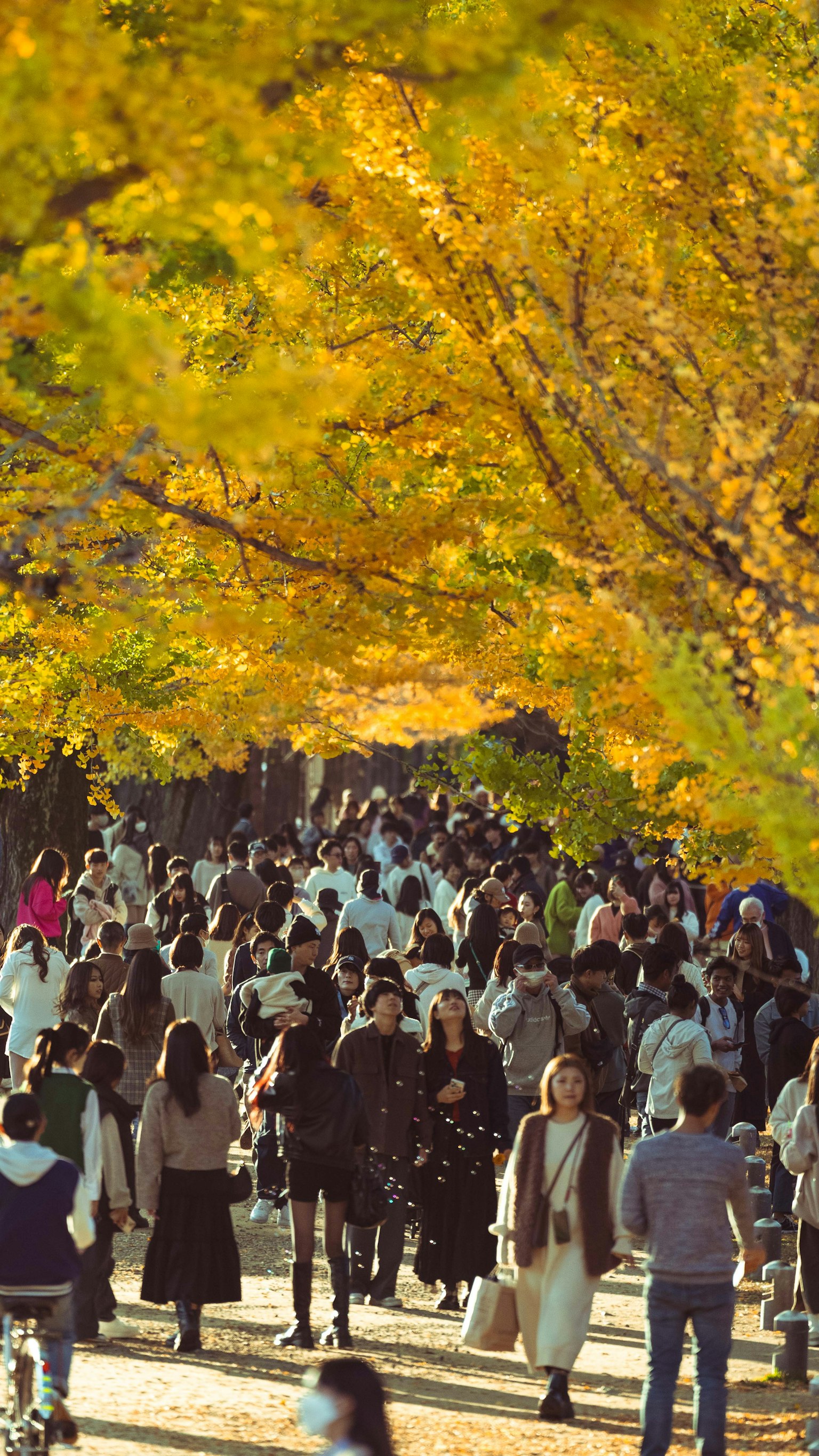 Folla di persone che camminano sotto foglie d'autunno vivaci