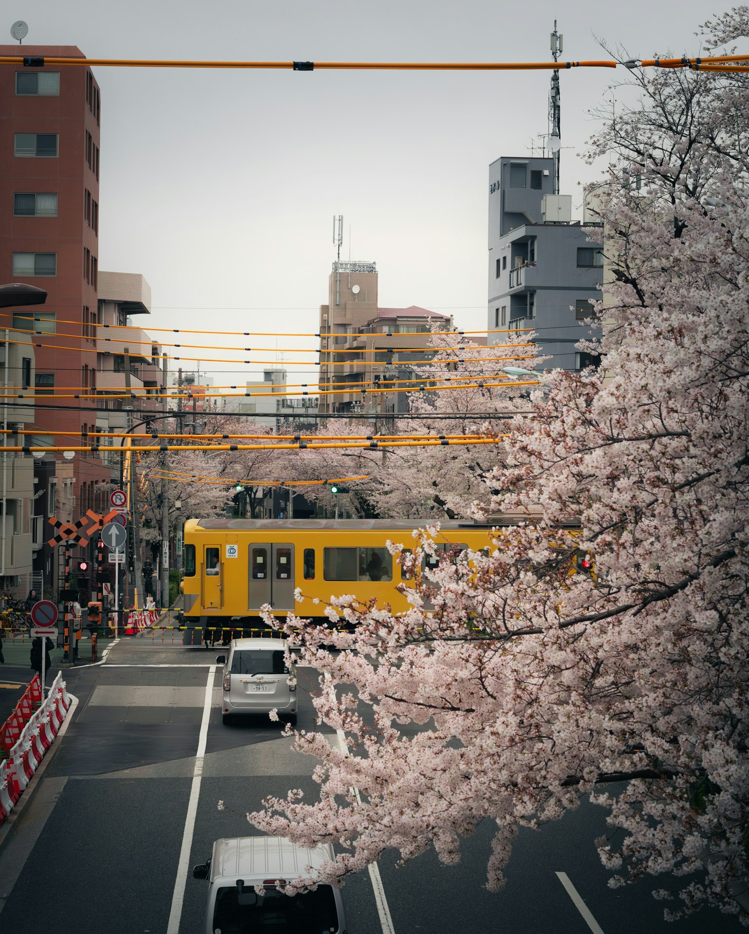 photo-Zq1OITNwuwe7K9w8leEW-image