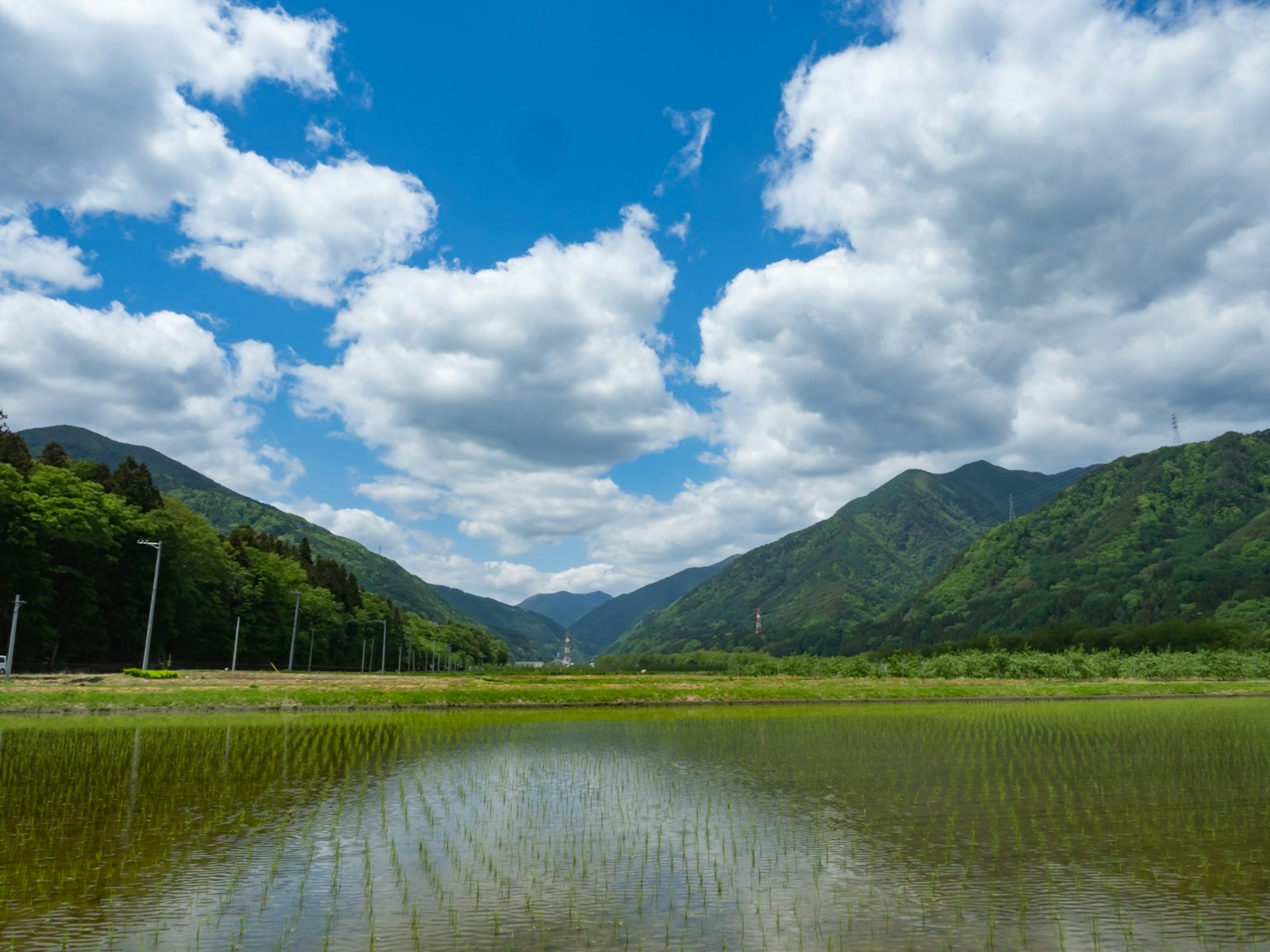 藍天白雲下的稻田風景，四周環繞著山脈