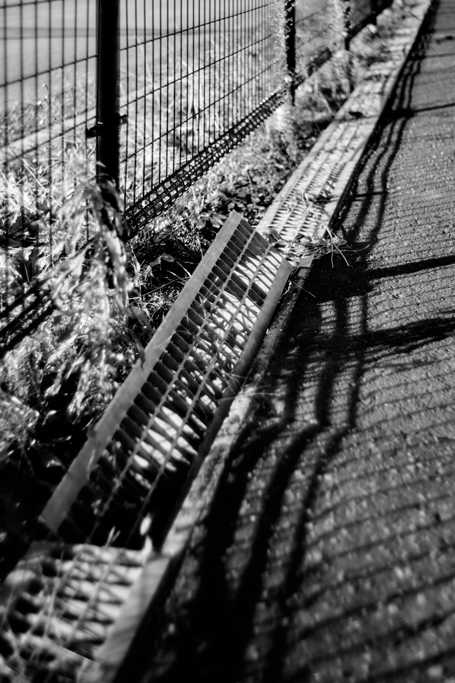 Schwarzweißfoto, das einen Zaun, seinen Schatten und Gras zeigt, das am Boden wächst