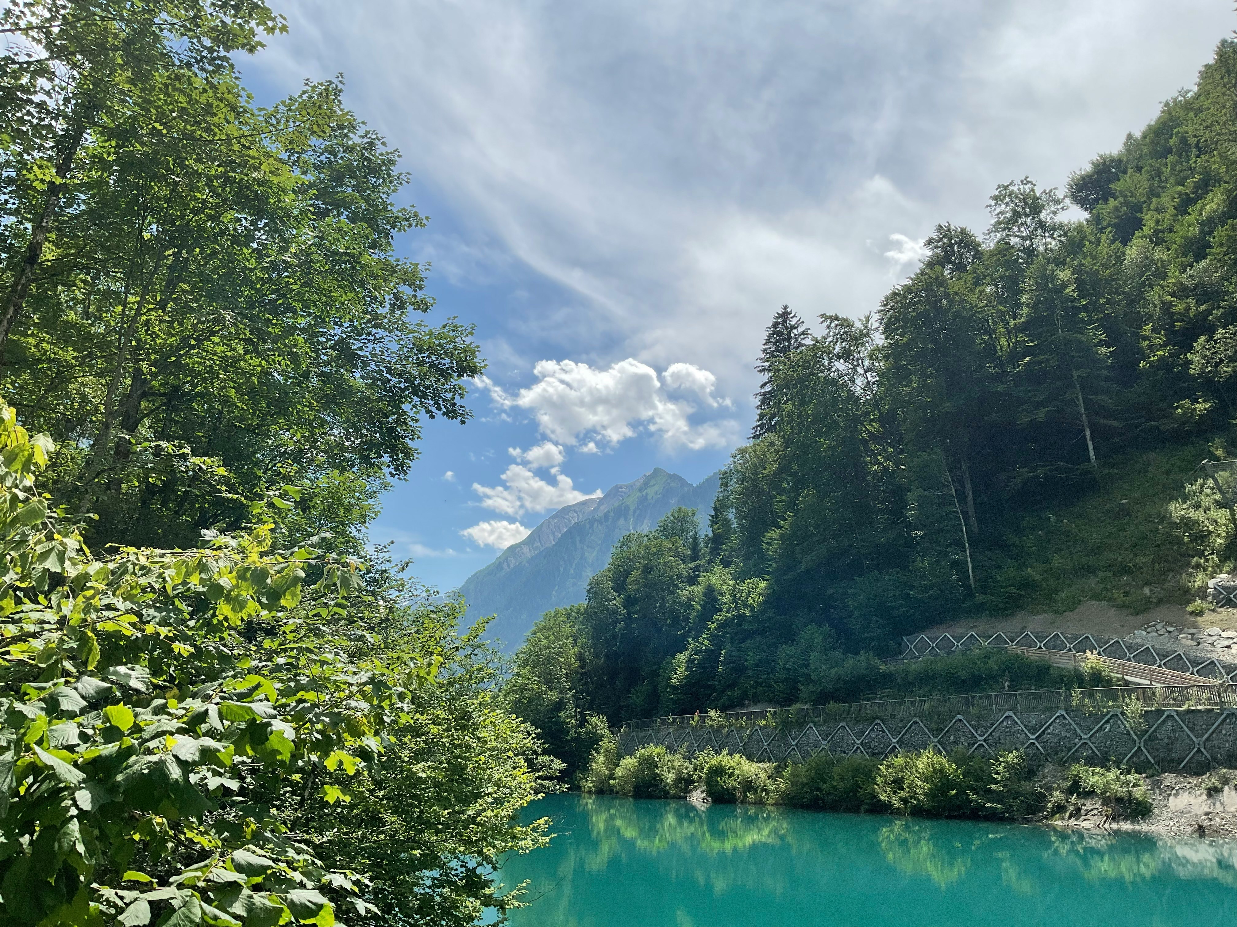 緑の森に囲まれたターコイズ色の湖と遠くの山並み