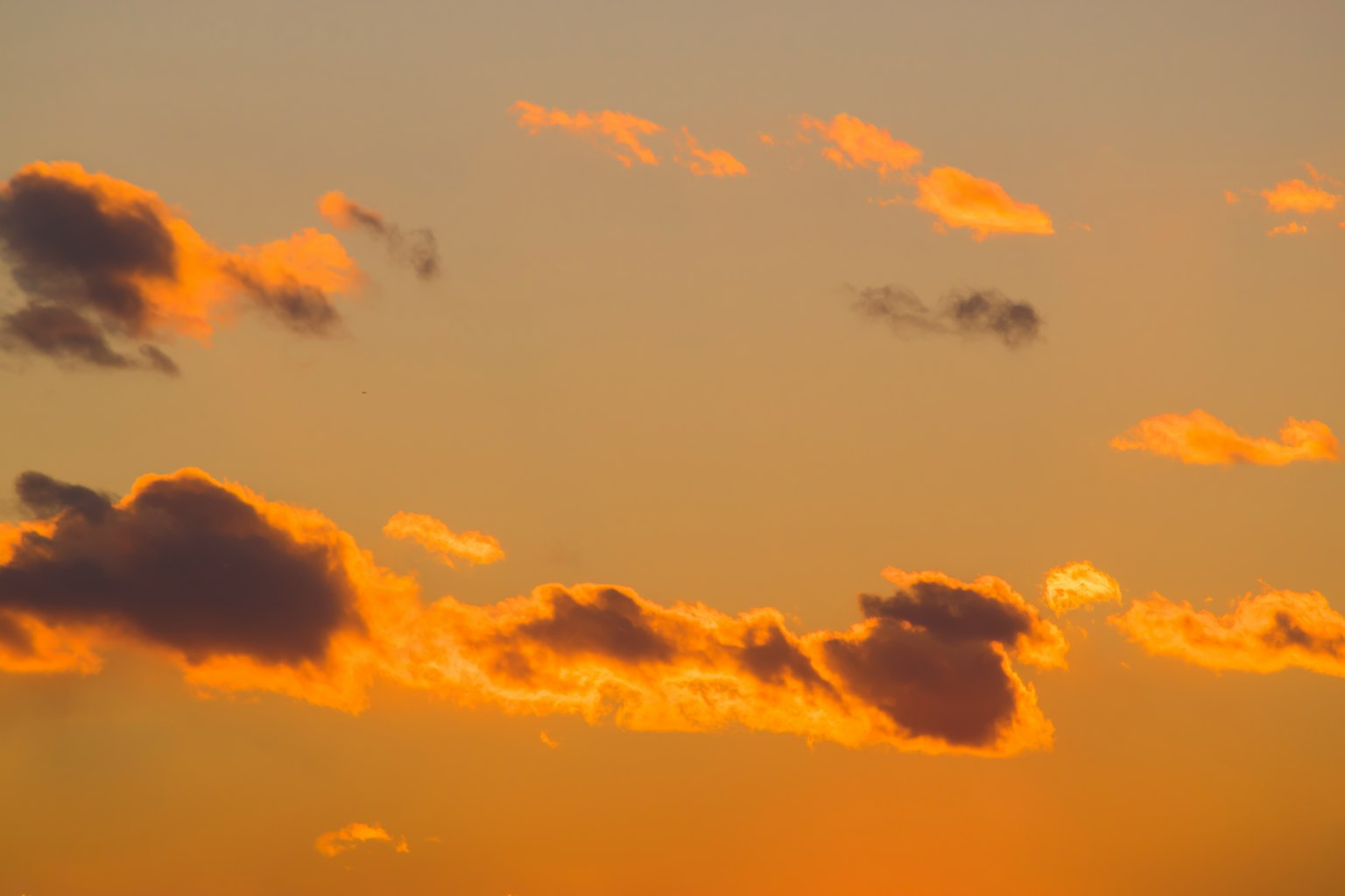 Awan oranye di langit senja