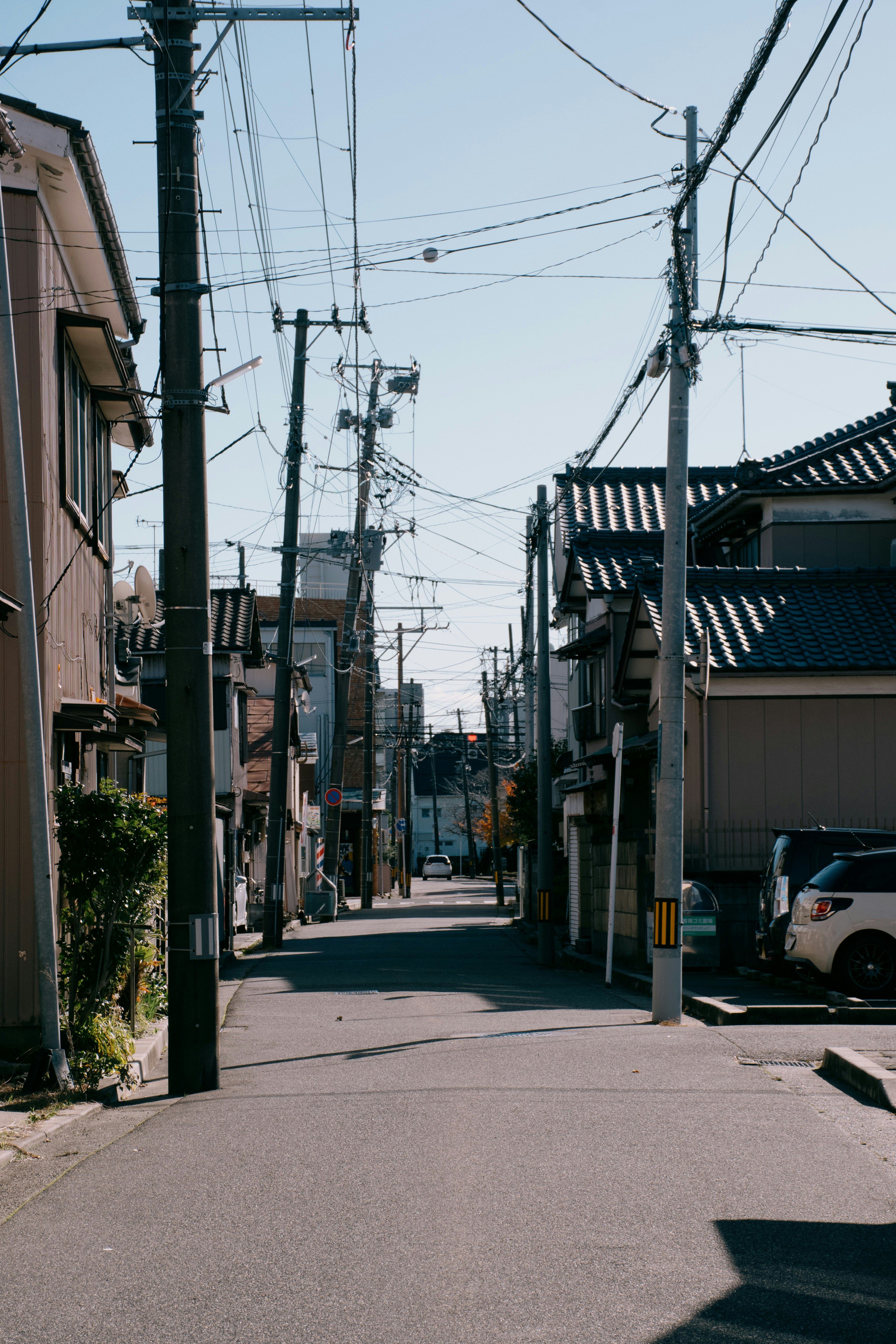 新潟の静かな住宅街の路地に並ぶ電柱と家並み