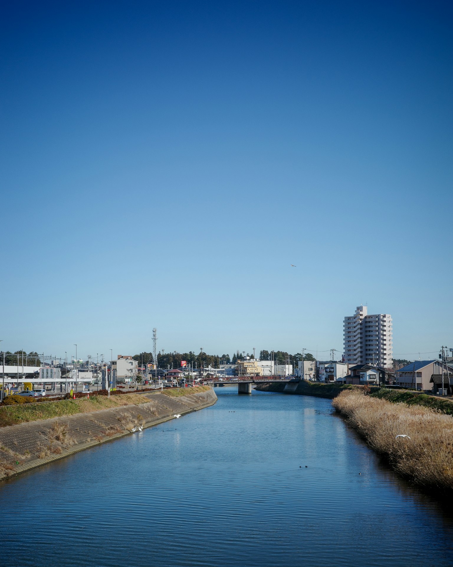 在晴朗藍天下流淌的河流和背景中的城市建築