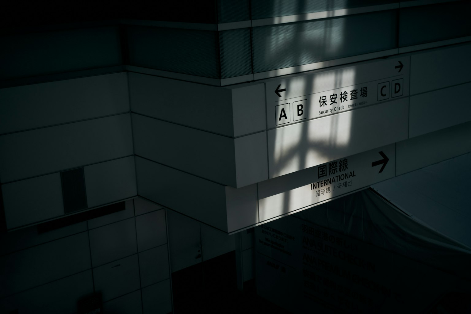 photo-ZrH3ydqR2c7eul9pdr2i-image