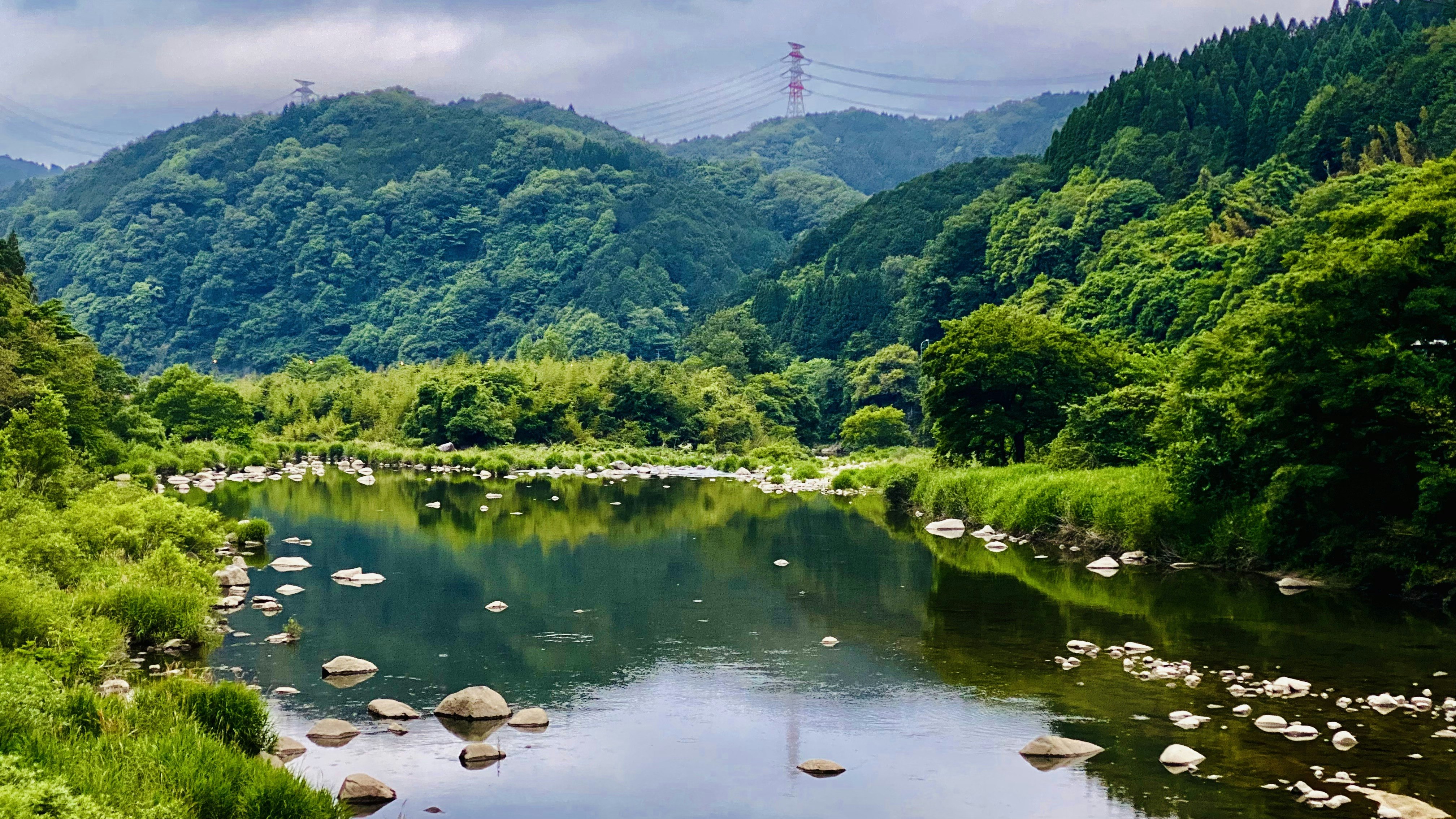 綠意森林環繞的池塘水面與石頭景觀