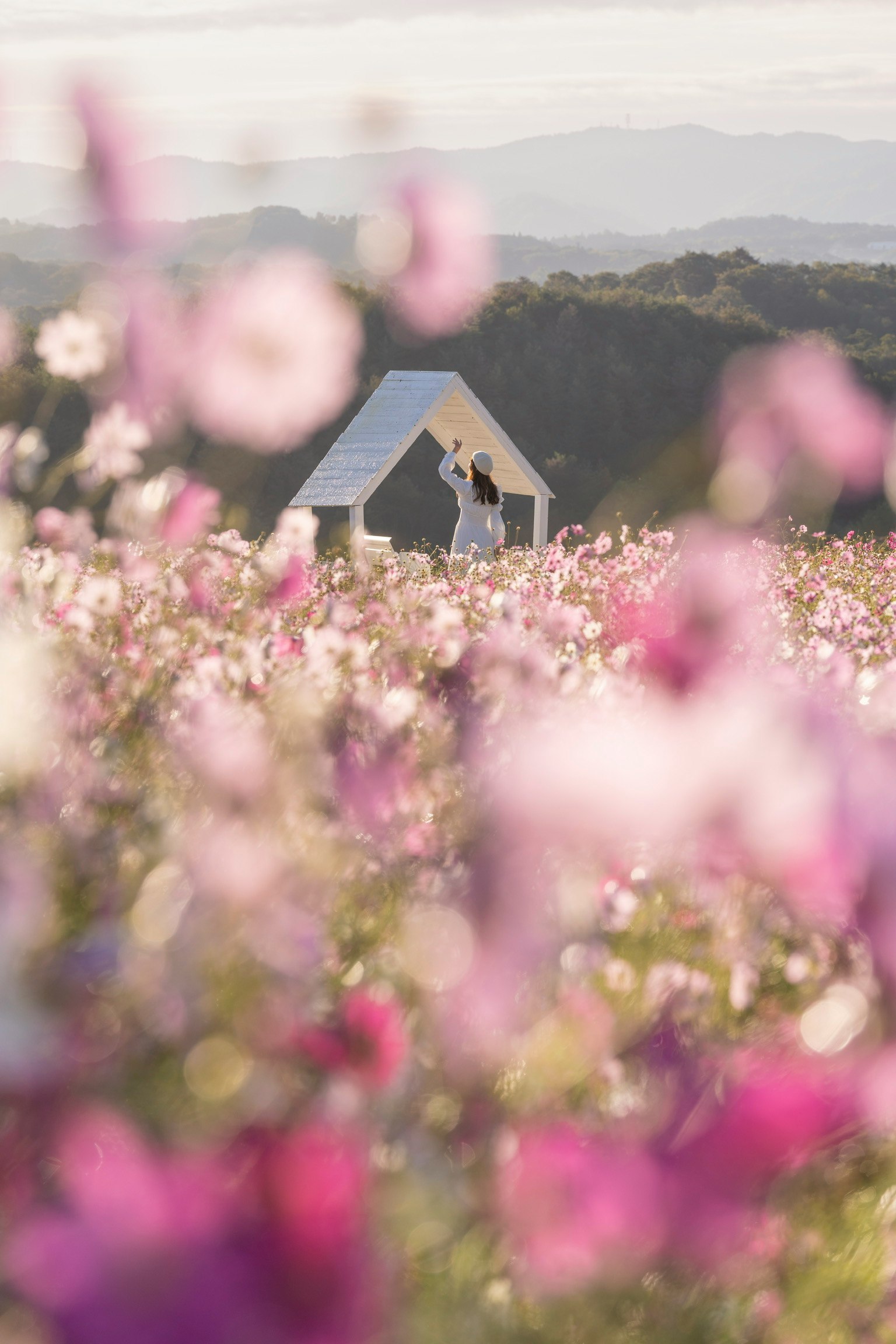 花畑の中に小さな白い家があり、背景には山々が広がっている