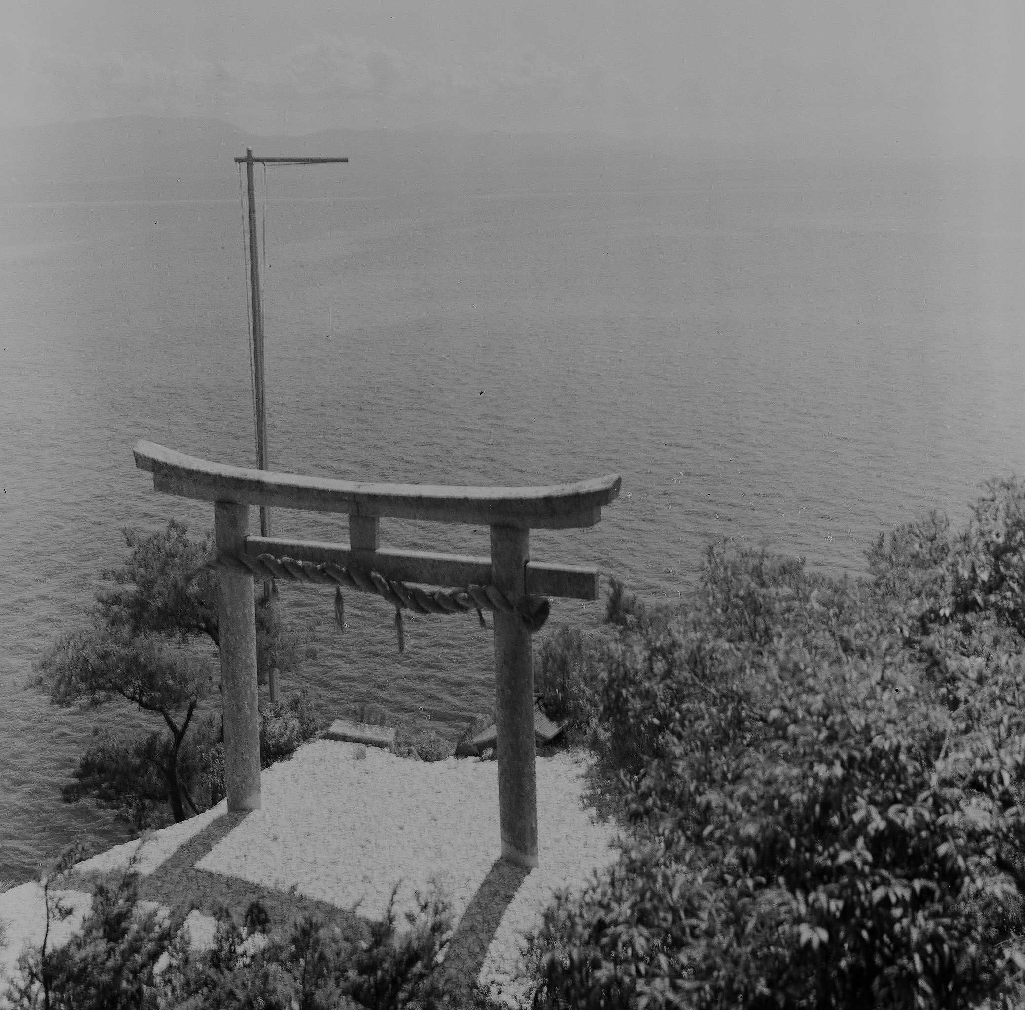 霧の中の竹生島の湖畔に立つ鳥居と参道