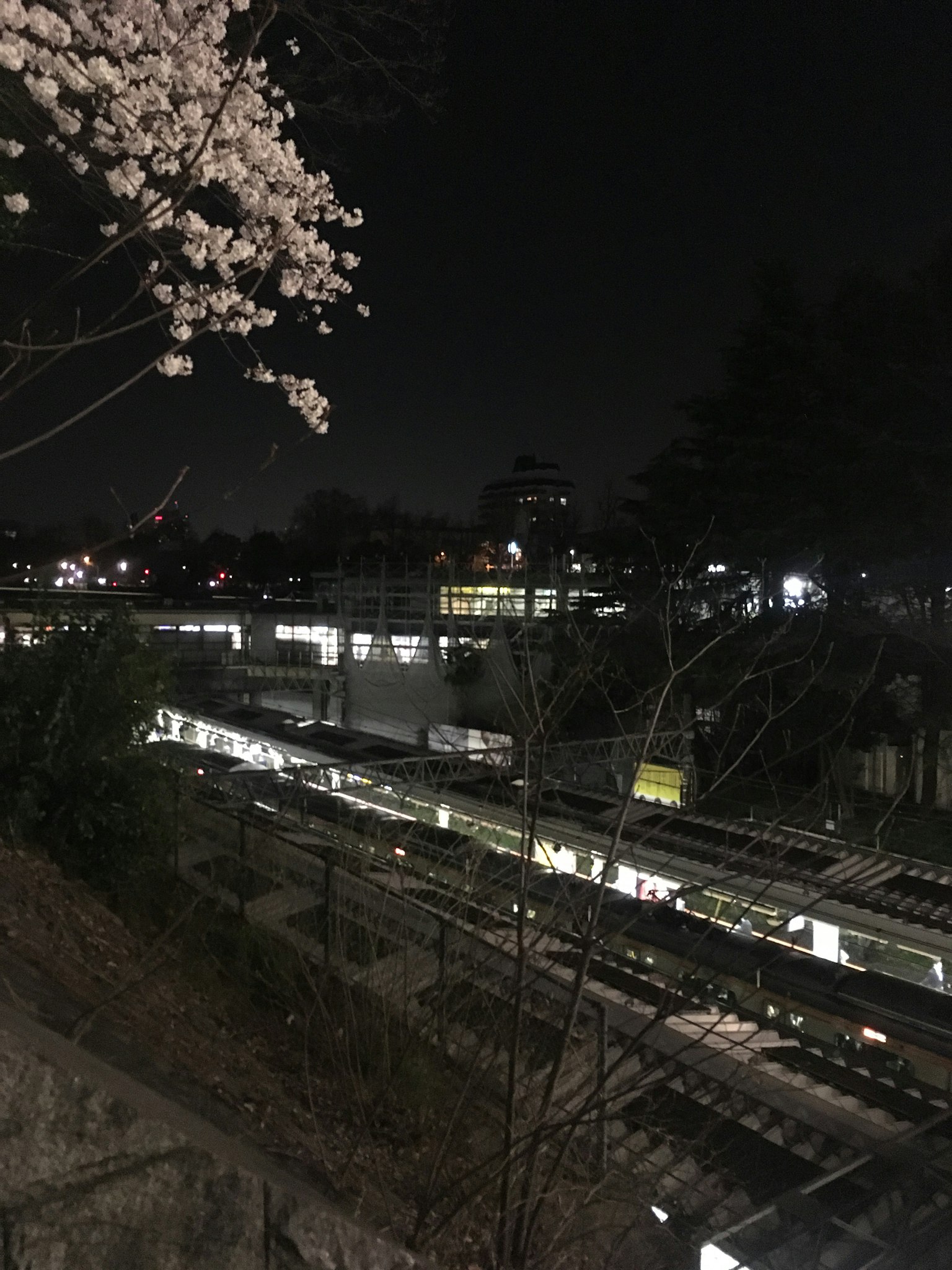 夜晚的櫻花與鐵路景觀