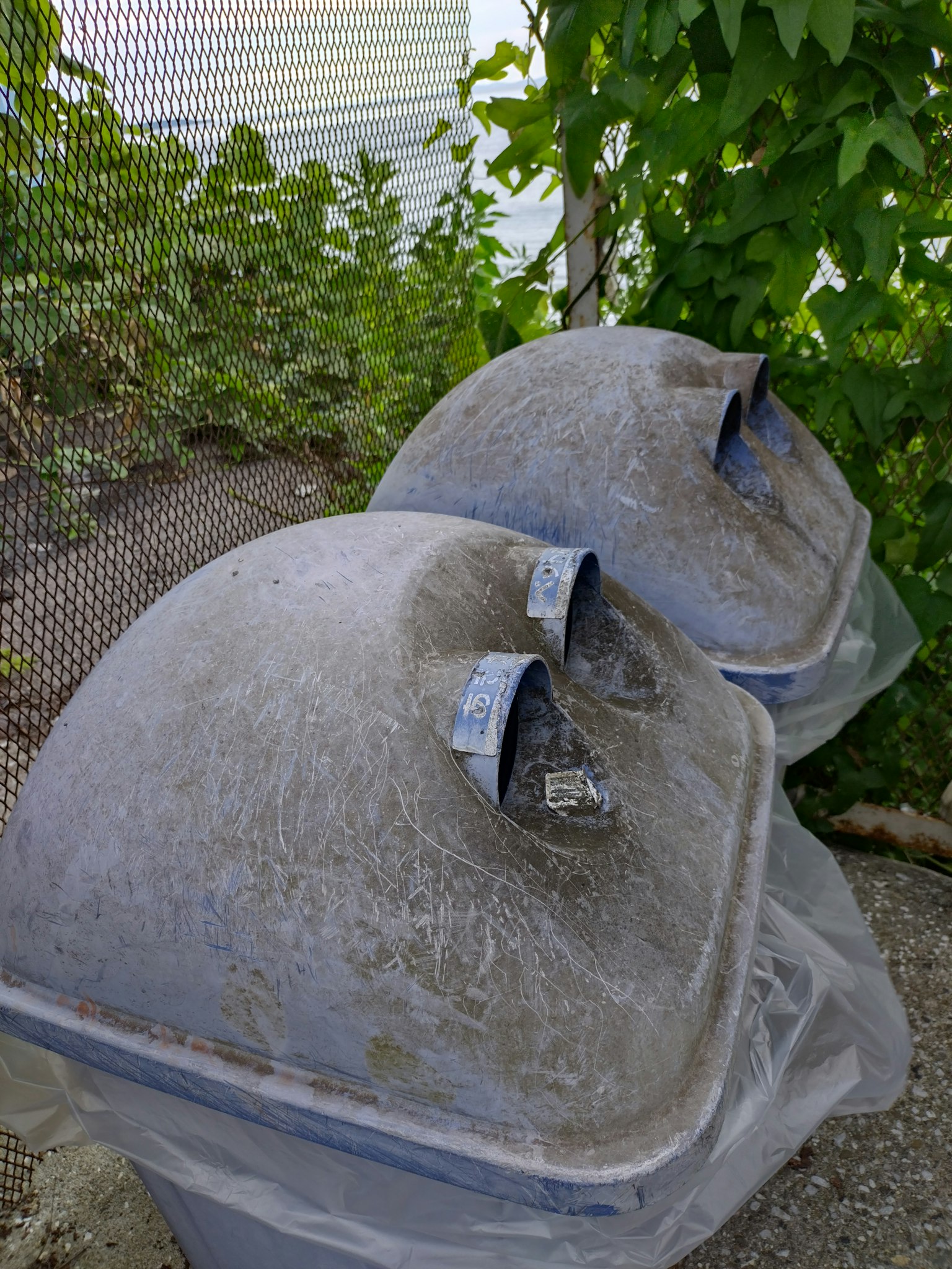 Two blue trash bins are placed side by side with green plants nearby