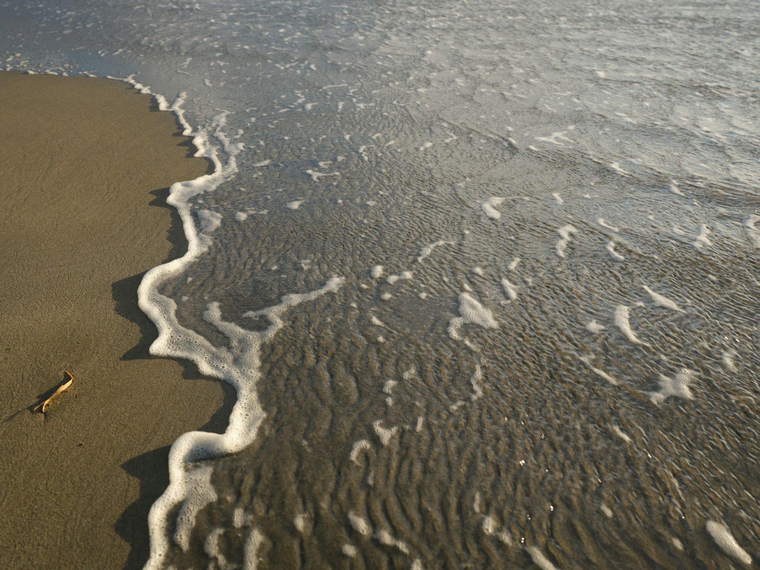 Image capturant le rivage et les vagues