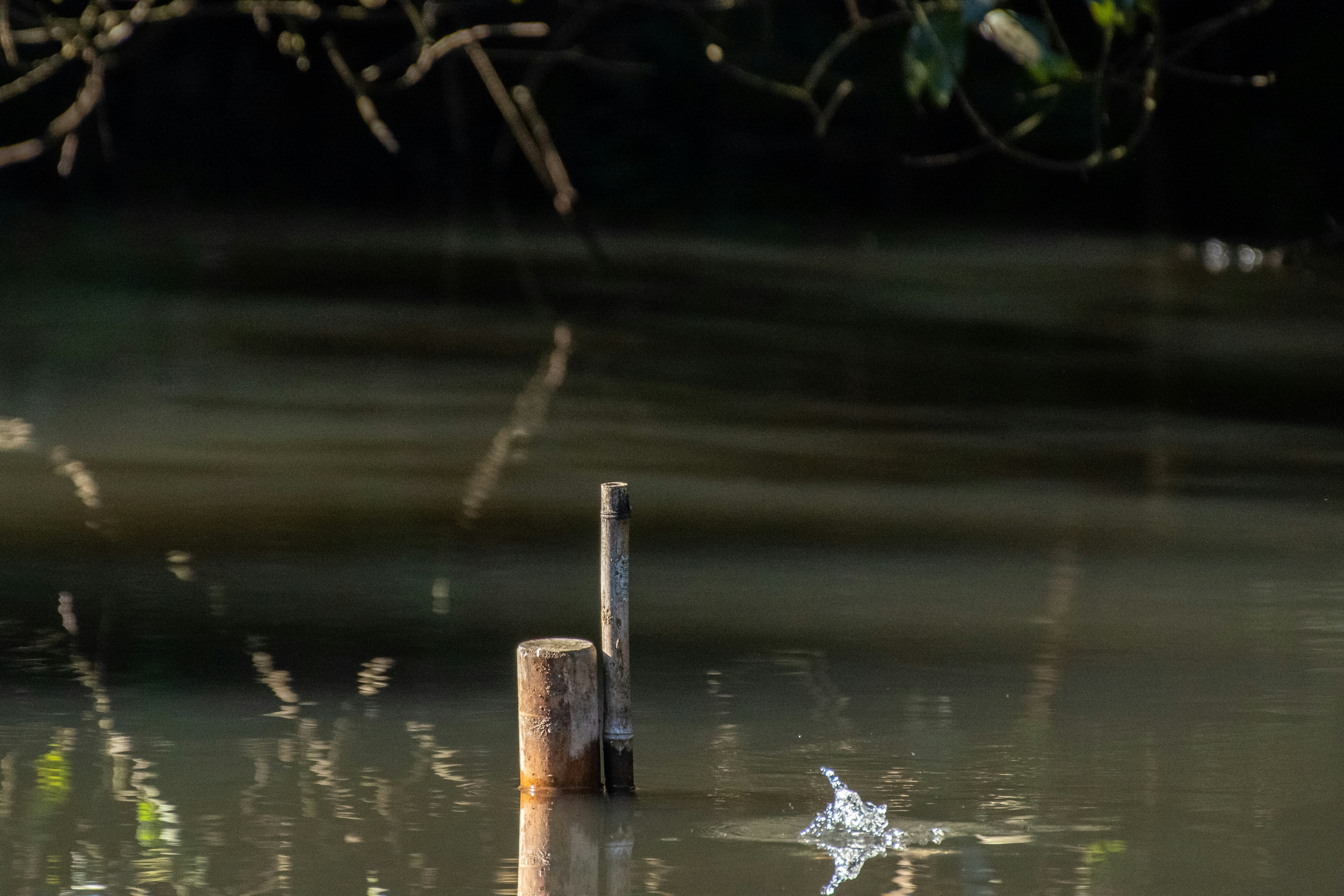 A quiet river scene with small bubbles on the water and a wooden post