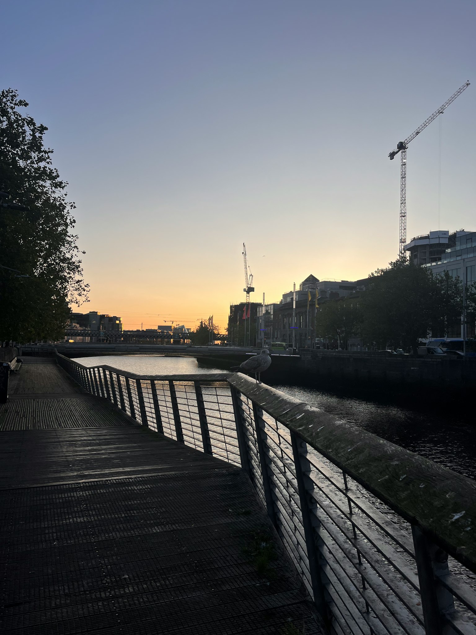 Paseo junto al río al atardecer con grúas de construcción