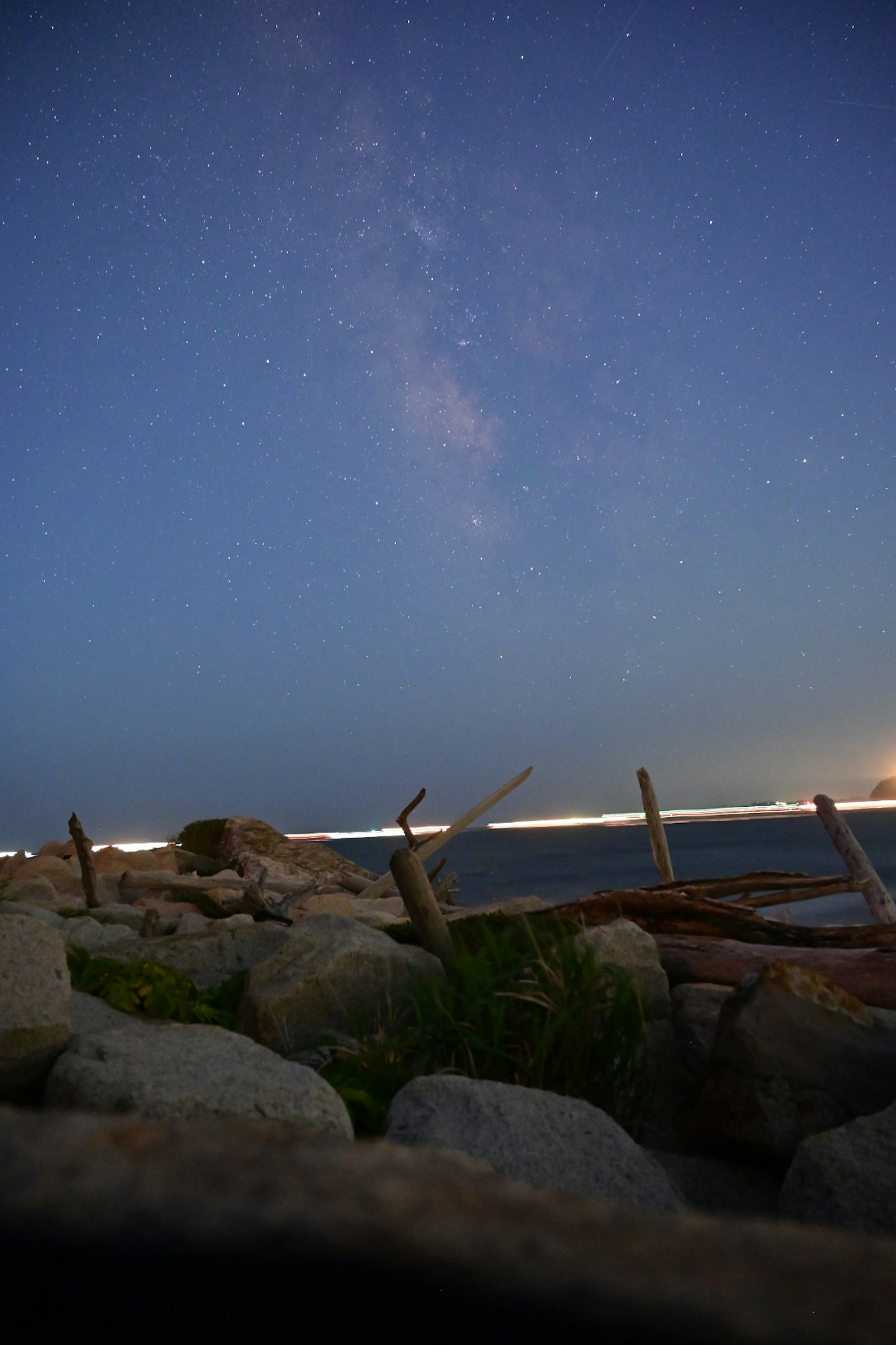 Cielo notturno sopra la costa con rocce e legno galleggiante