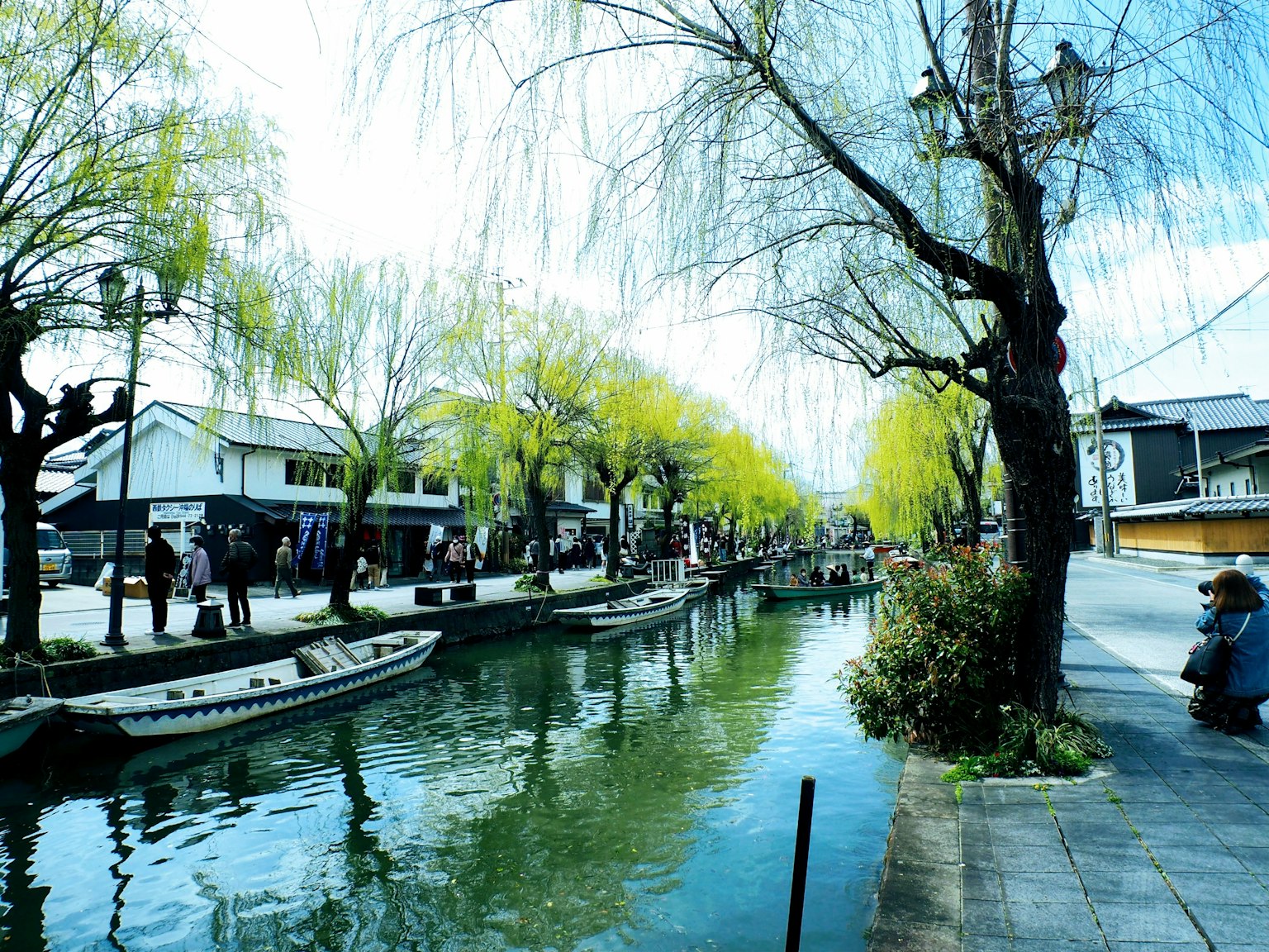 Pemandangan indah kanal yang dipenuhi pohon willow dan perahu