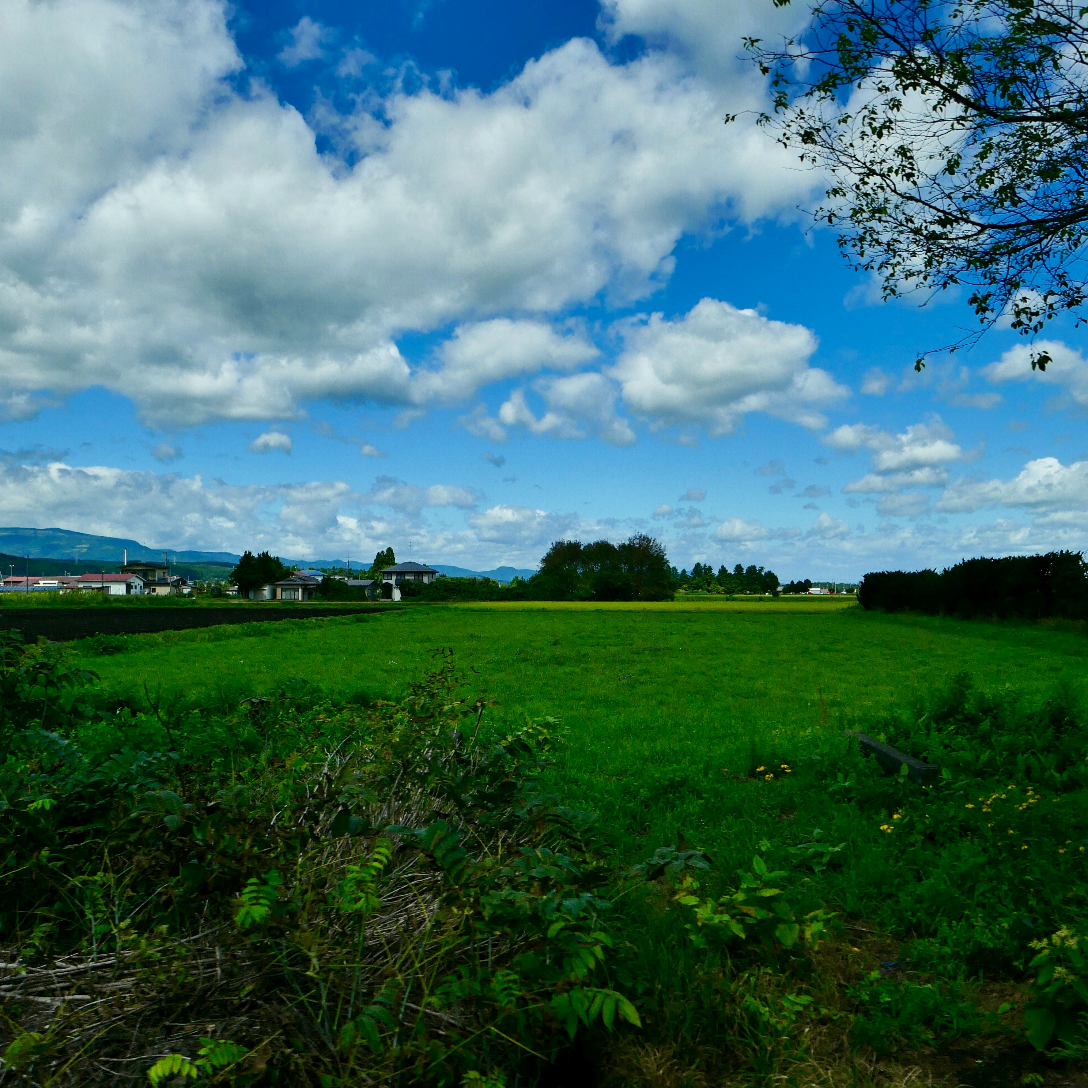 広がる青空の下の草原と風景