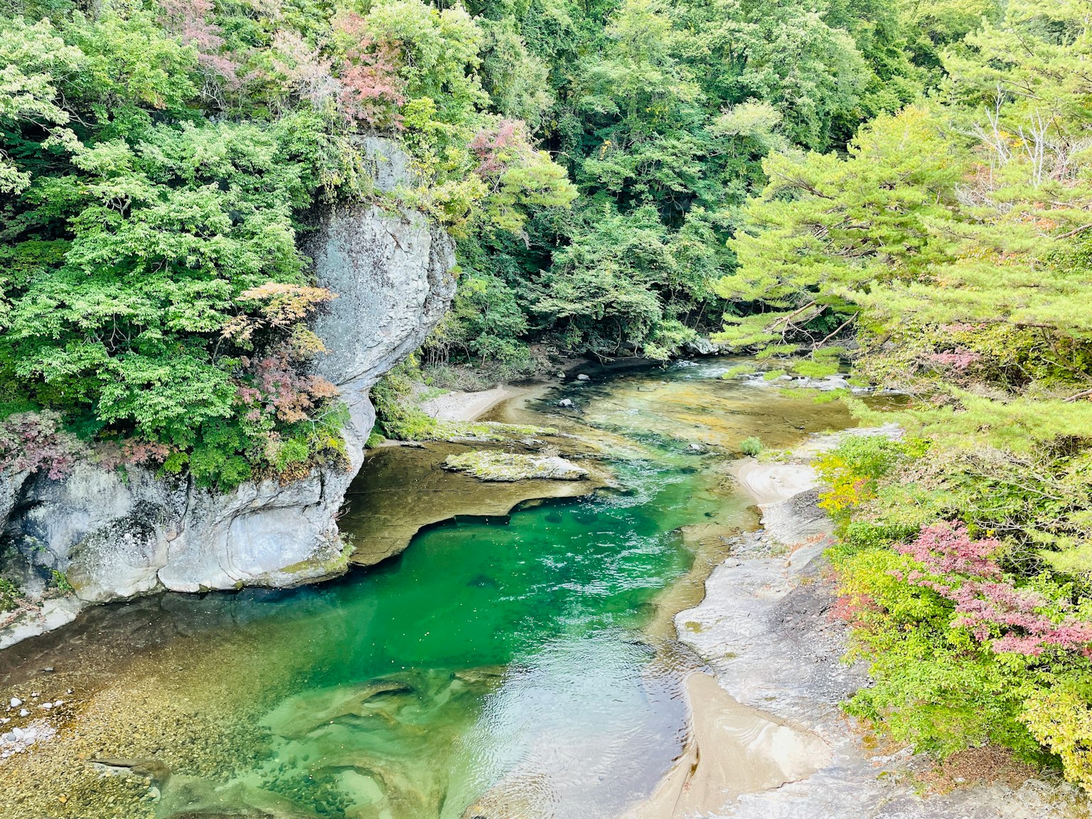 Scenic river with vibrant green water surrounded by lush greenery