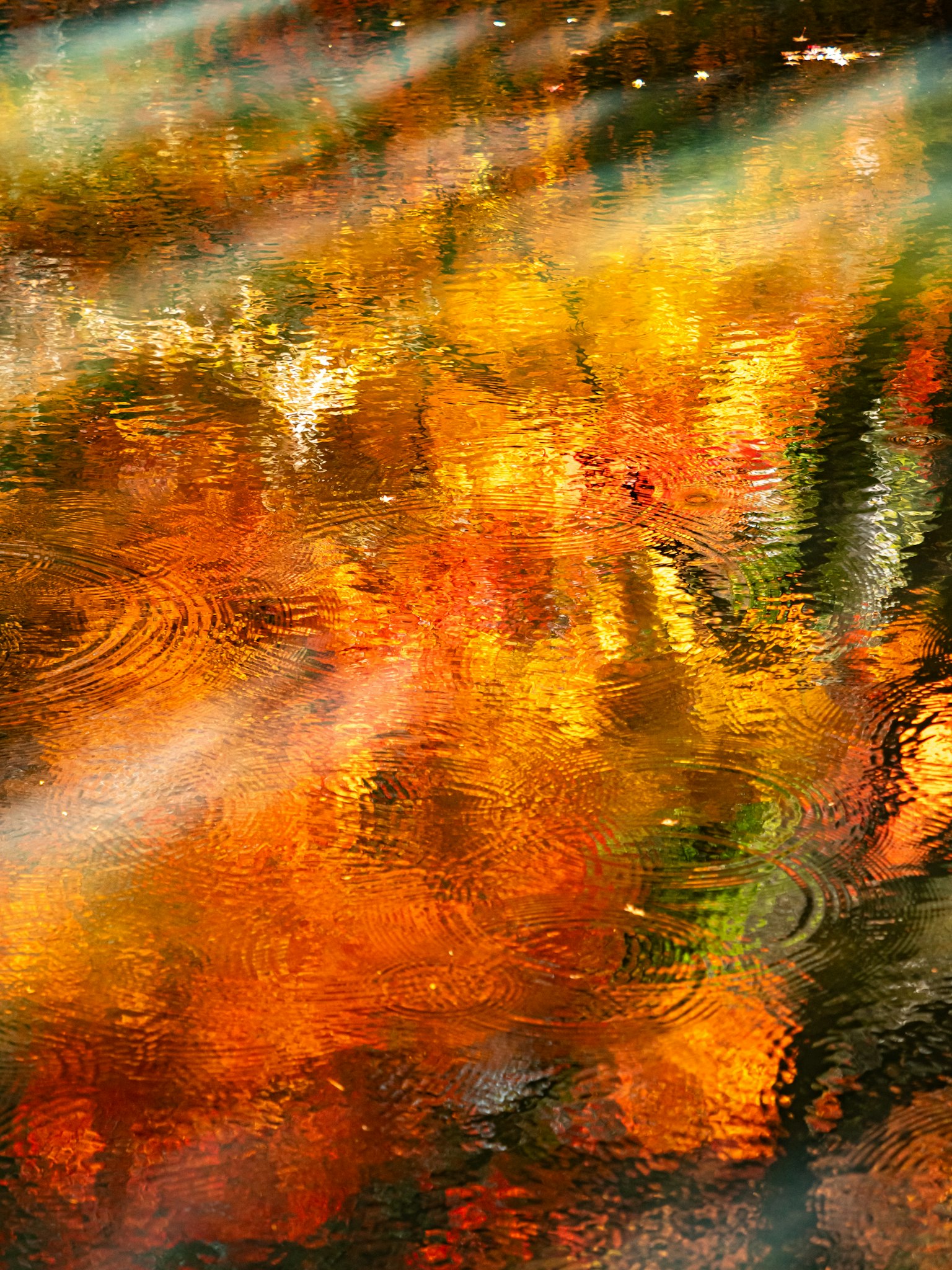 photo-ZxOMdS8juTvtqwhMydRh-image