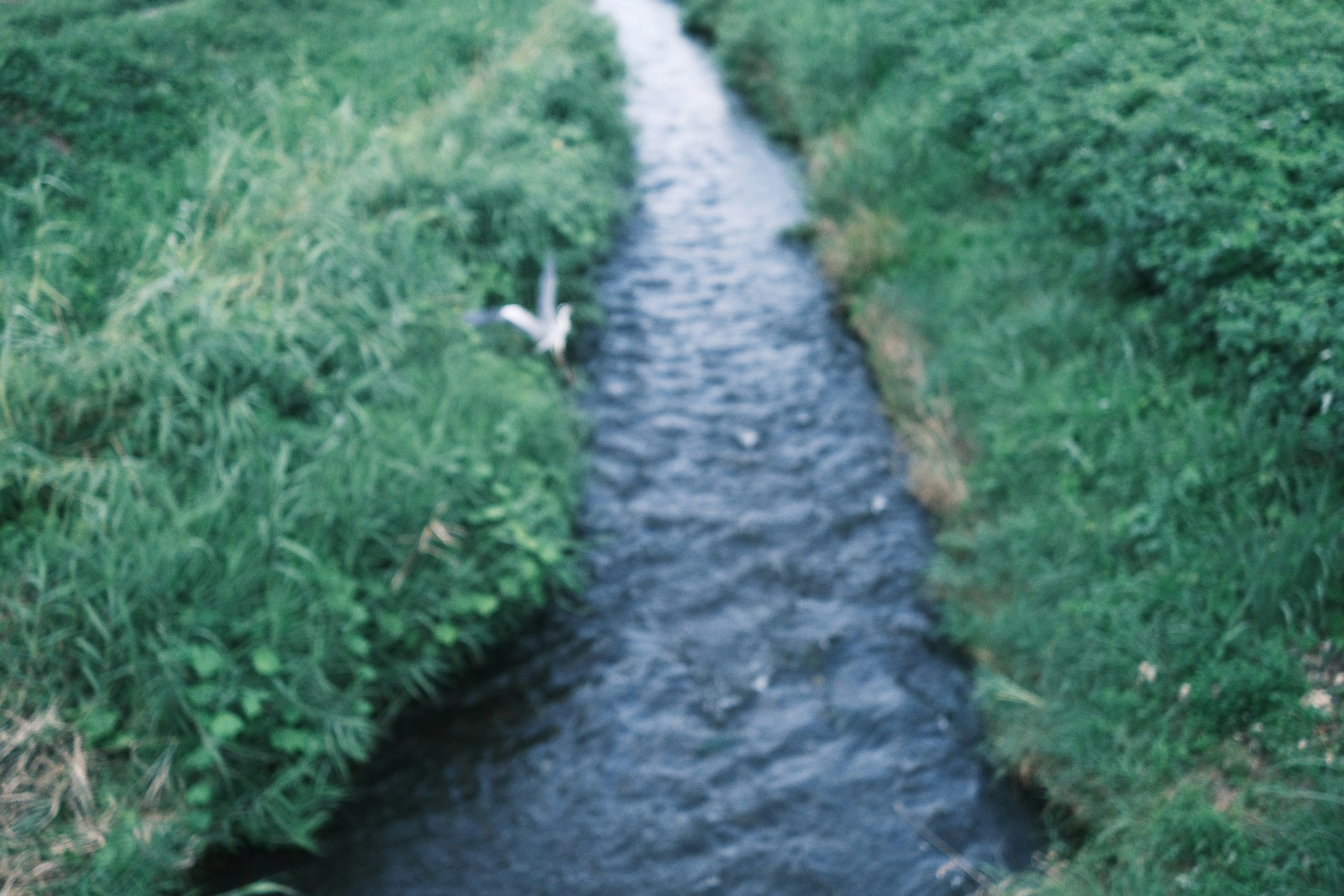 grüne Landschaft mit kleinem Bach, der durch Ōno in der Präfektur Fukui fließt