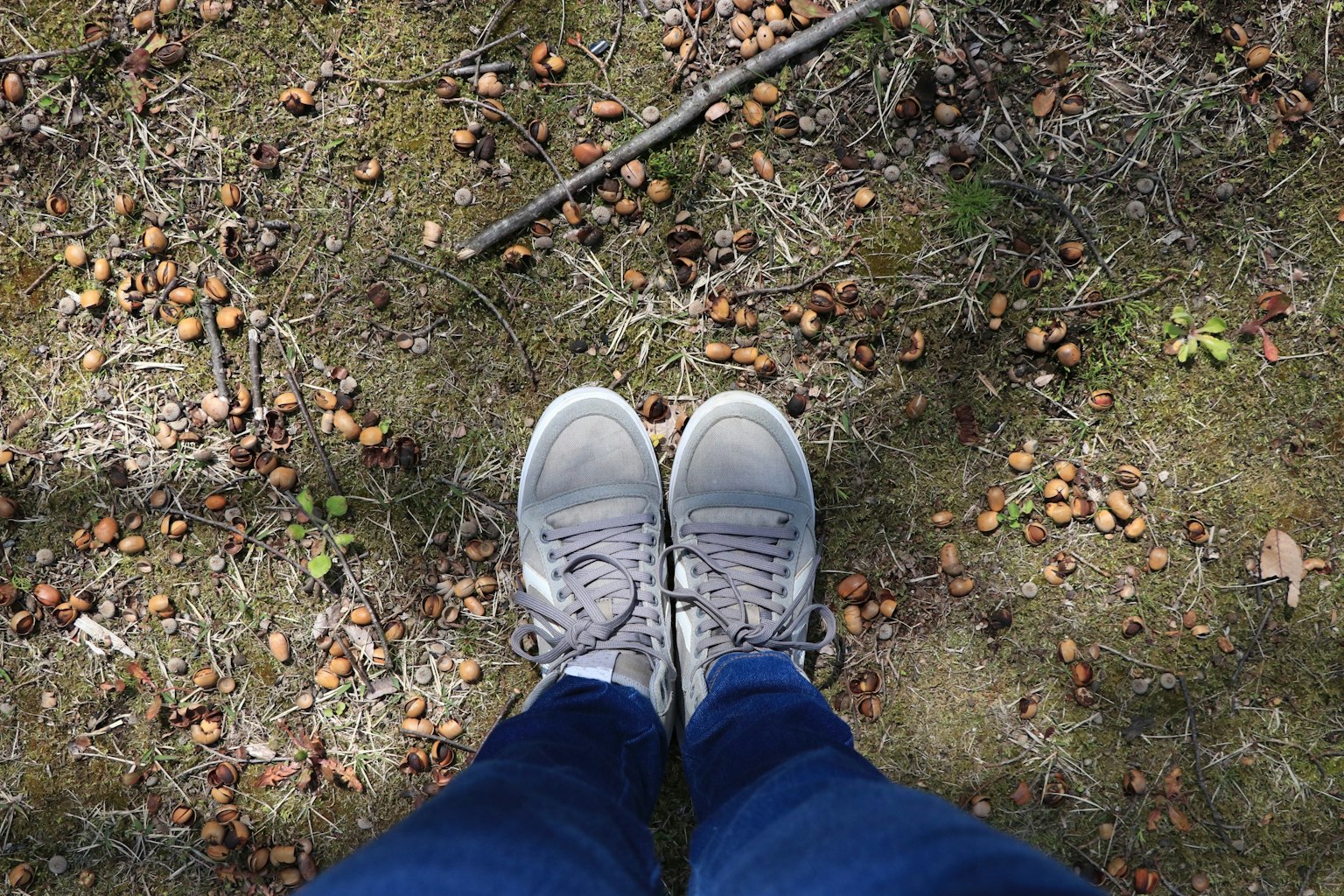 灰色運動鞋和藍色牛仔褲在腳下可見，周圍散落著樹葉和小樹枝