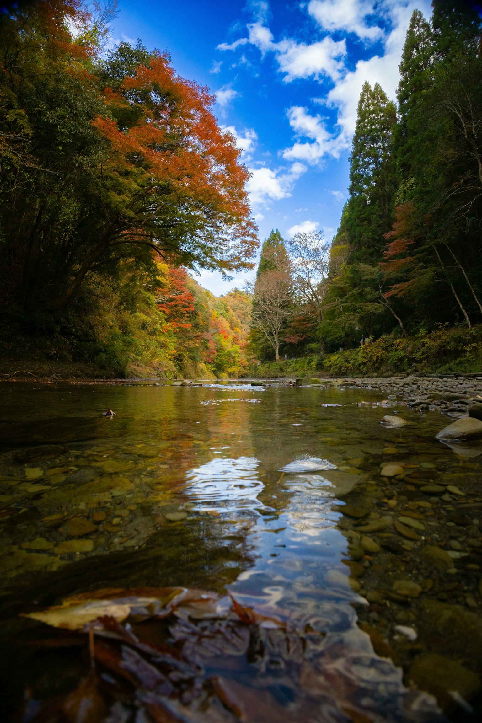 Serene river landscape reflecting autumn foliage