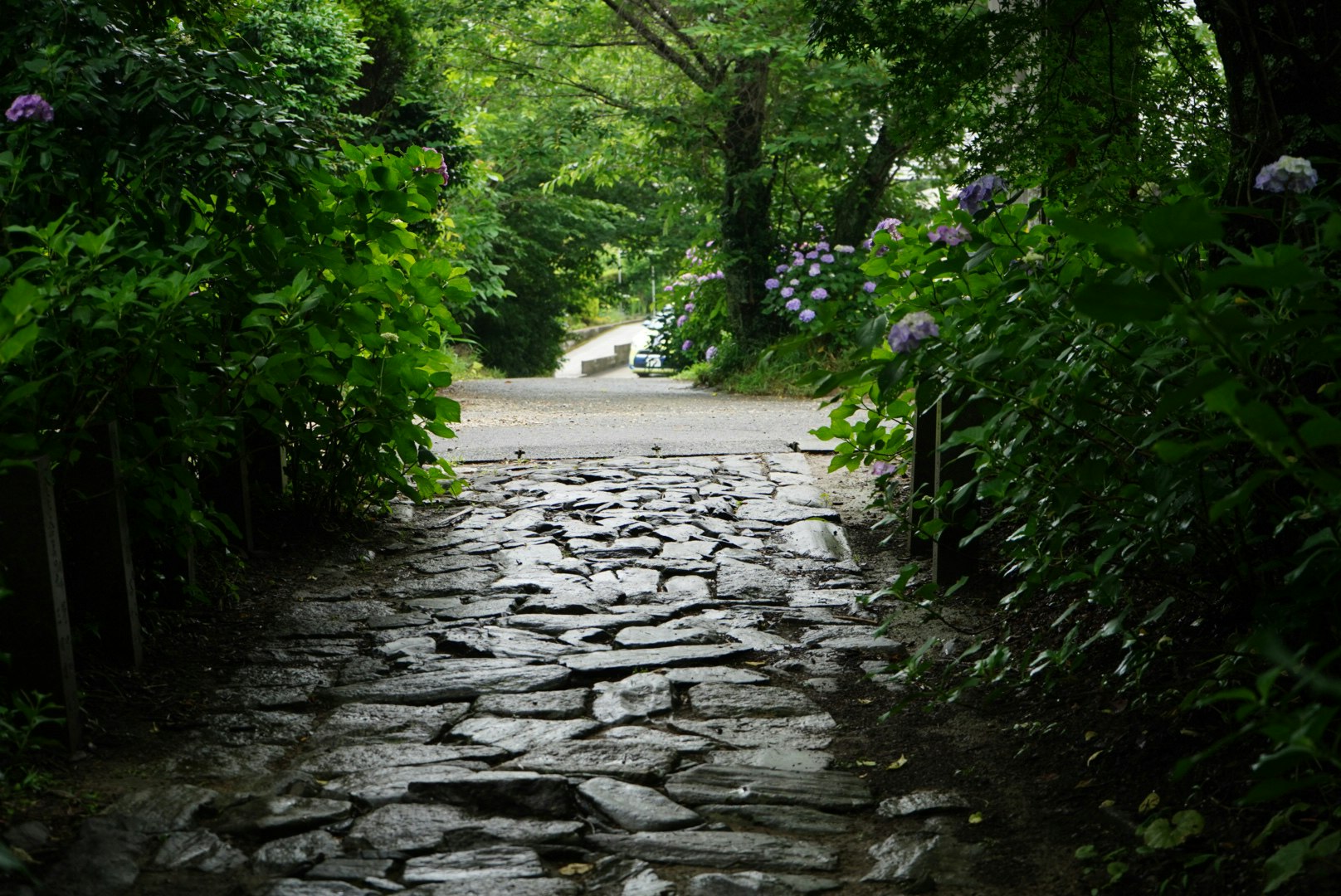 緑の生け垣に囲まれた石畳の小道