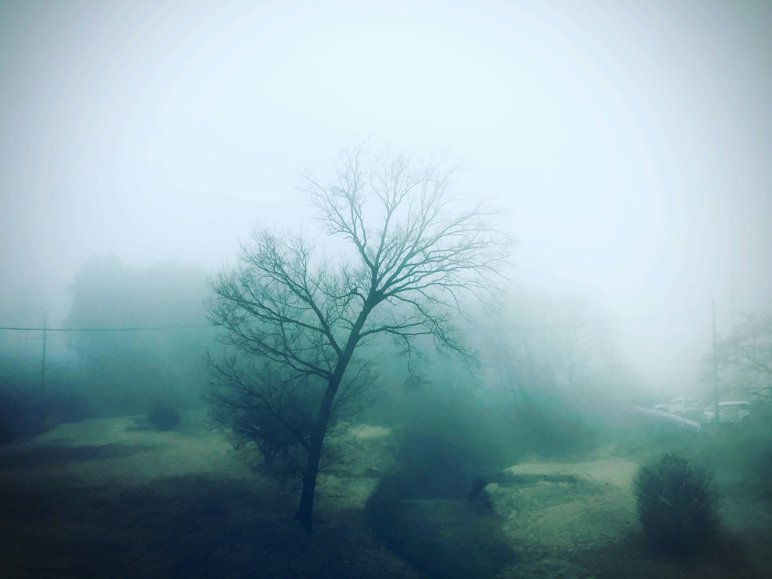 photo-ZyyX02sBmGTlXsXoul76-image