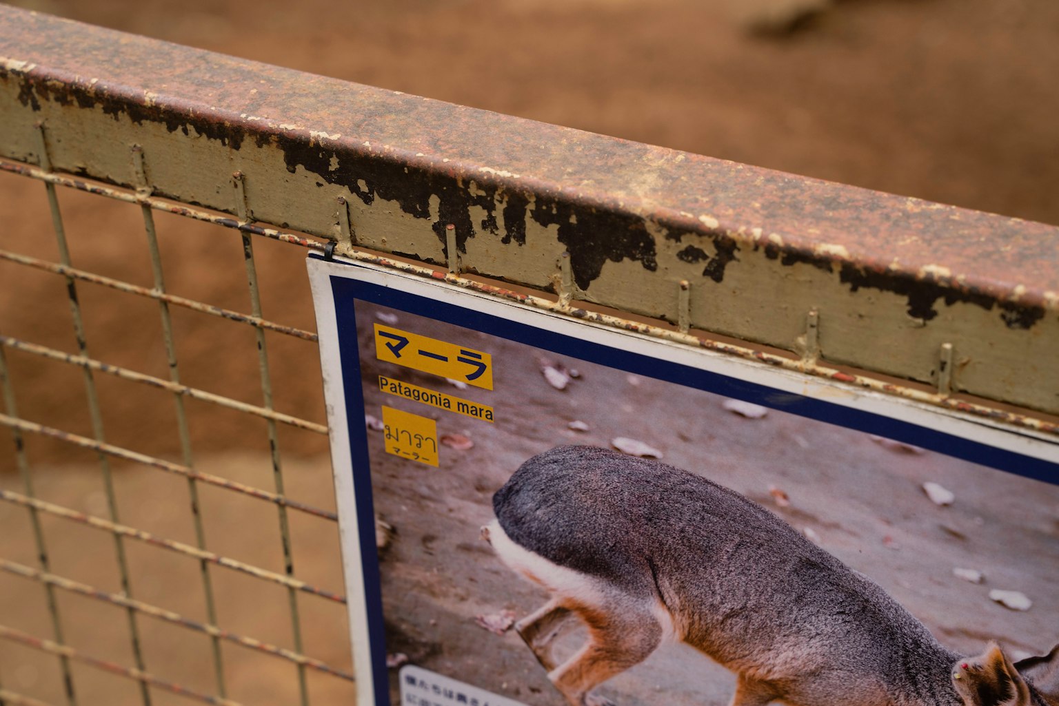 Image showing part of an animal information sign attached to a fence