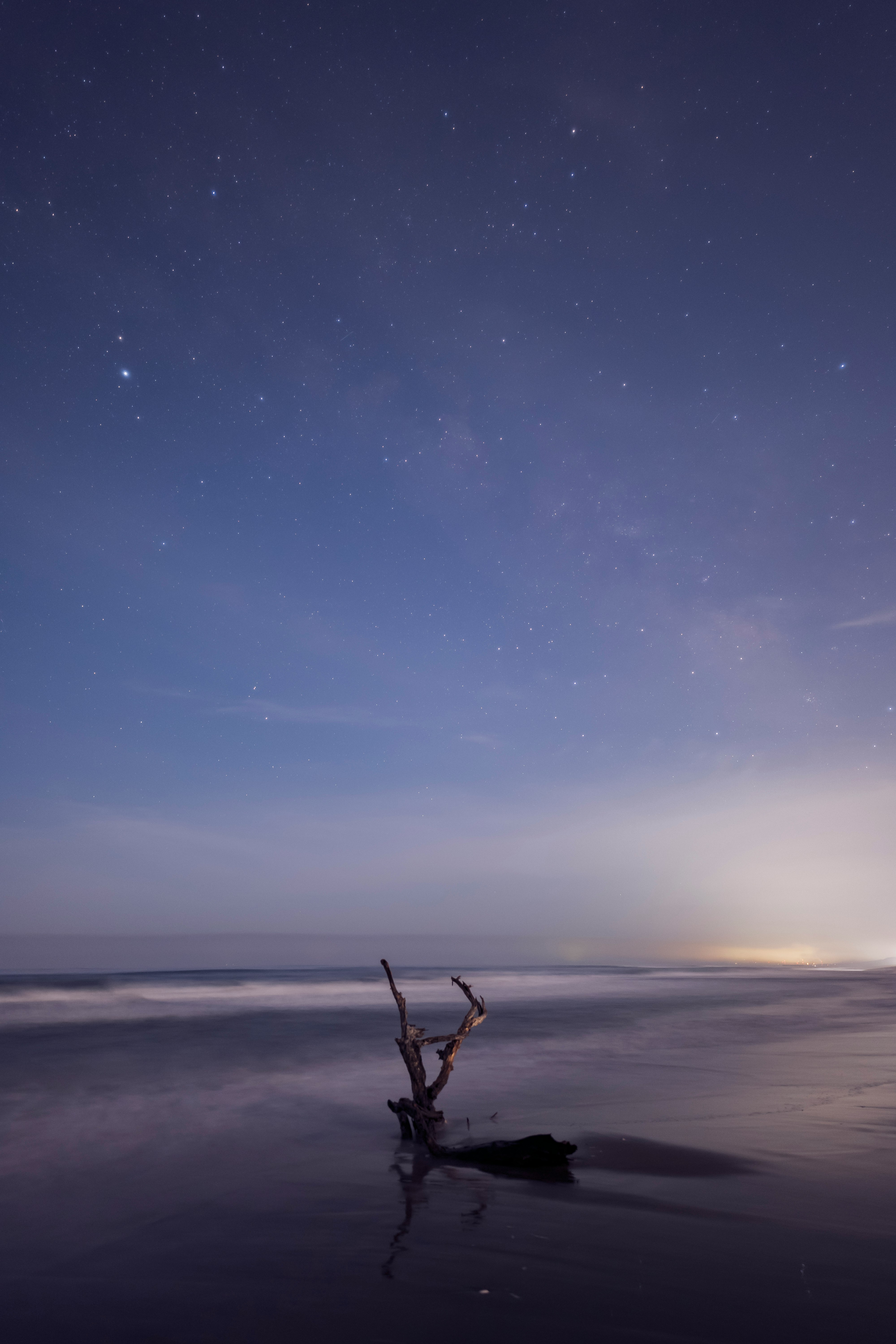 driftwood on a beach under a starry dawn sky