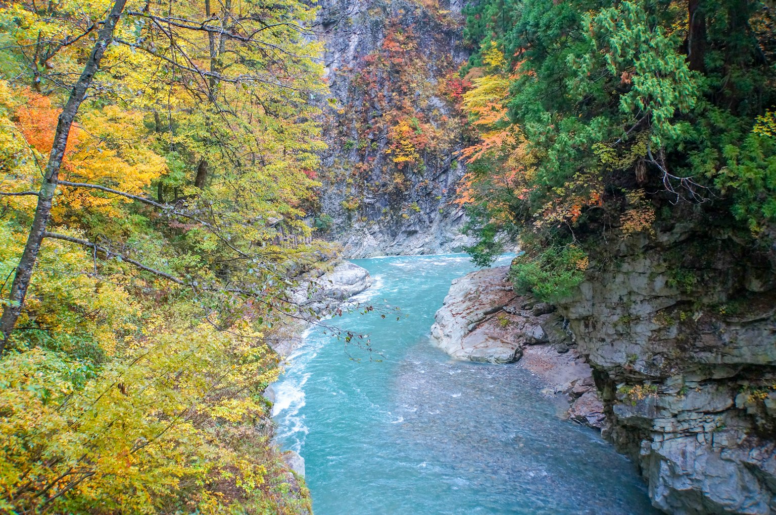 Un hermoso cañón con un río azul y árboles de colores otoñales
