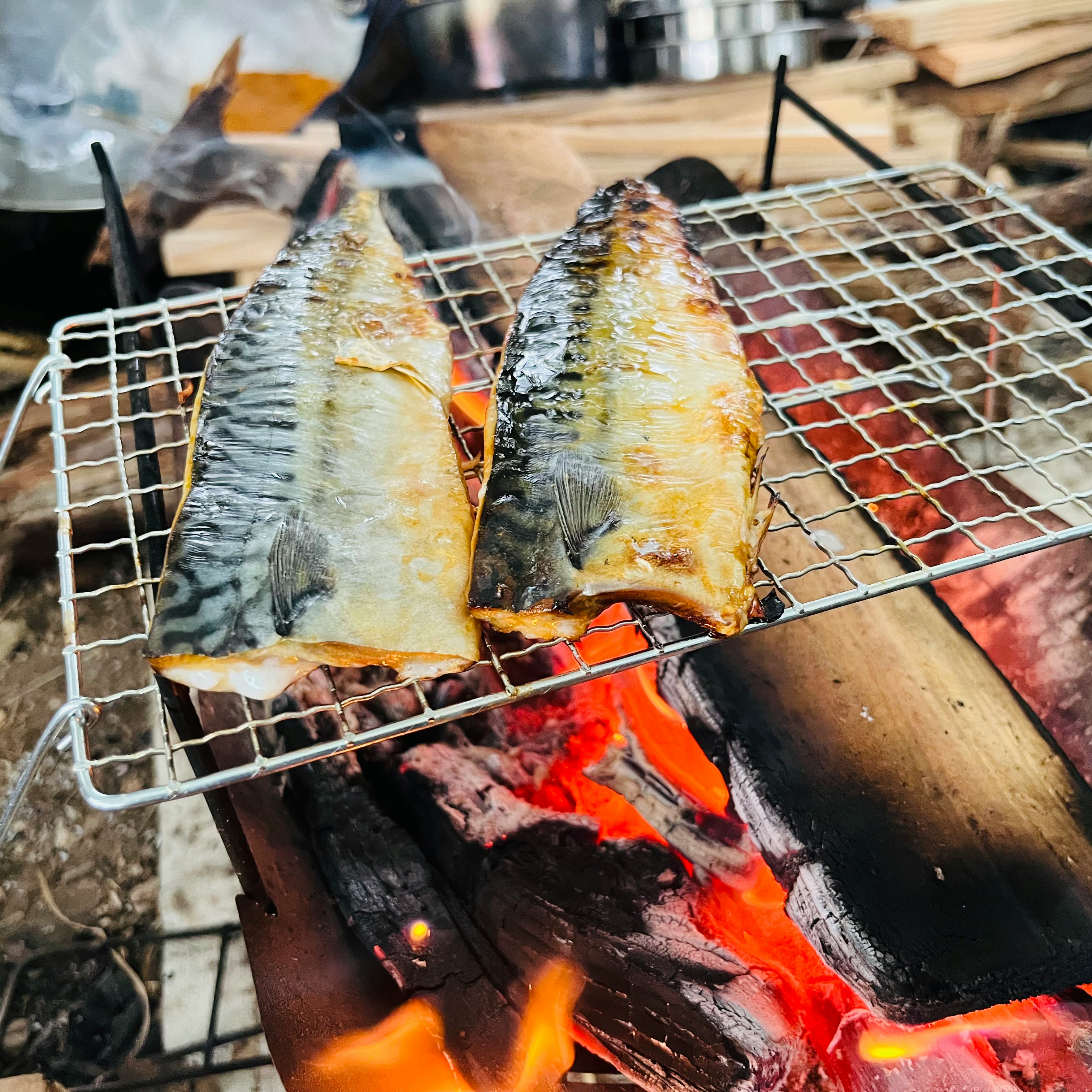 炭火上鐵絲網烤魚排的燒烤場景