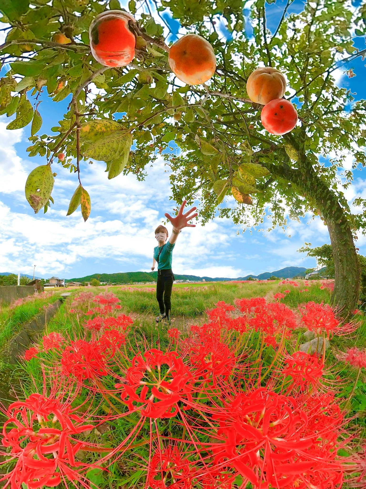 赤い花と果物の木の下に立つ人