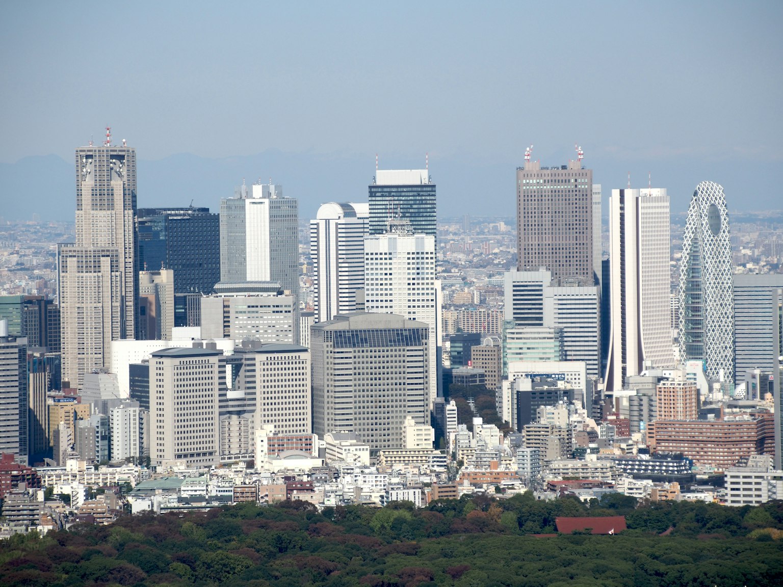 City skyline with skyscrapers overlooking a green area