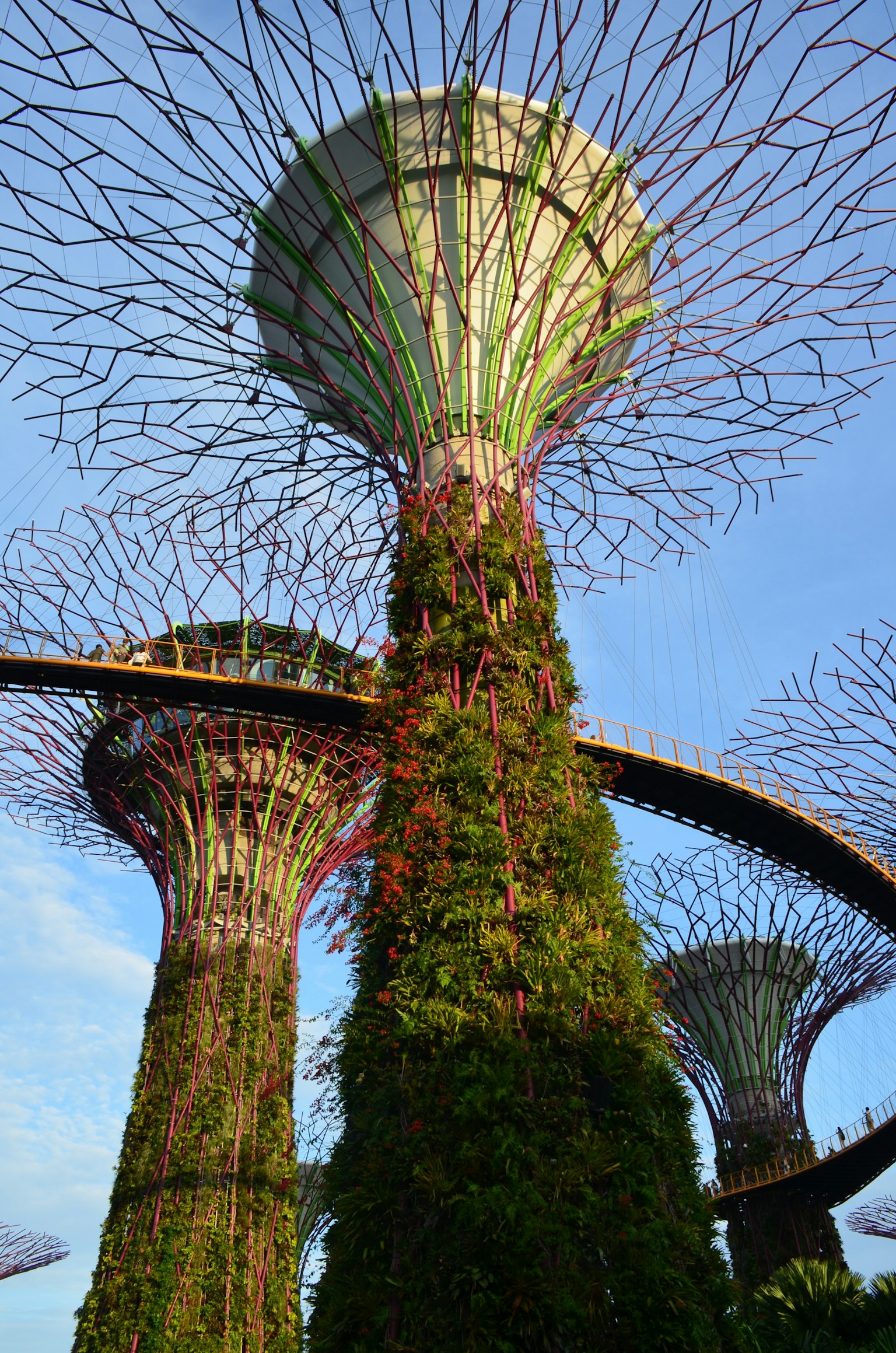 Nahaufnahme der Supertrees von Singapur mit üppigem Grün und blauem Himmel im Hintergrund