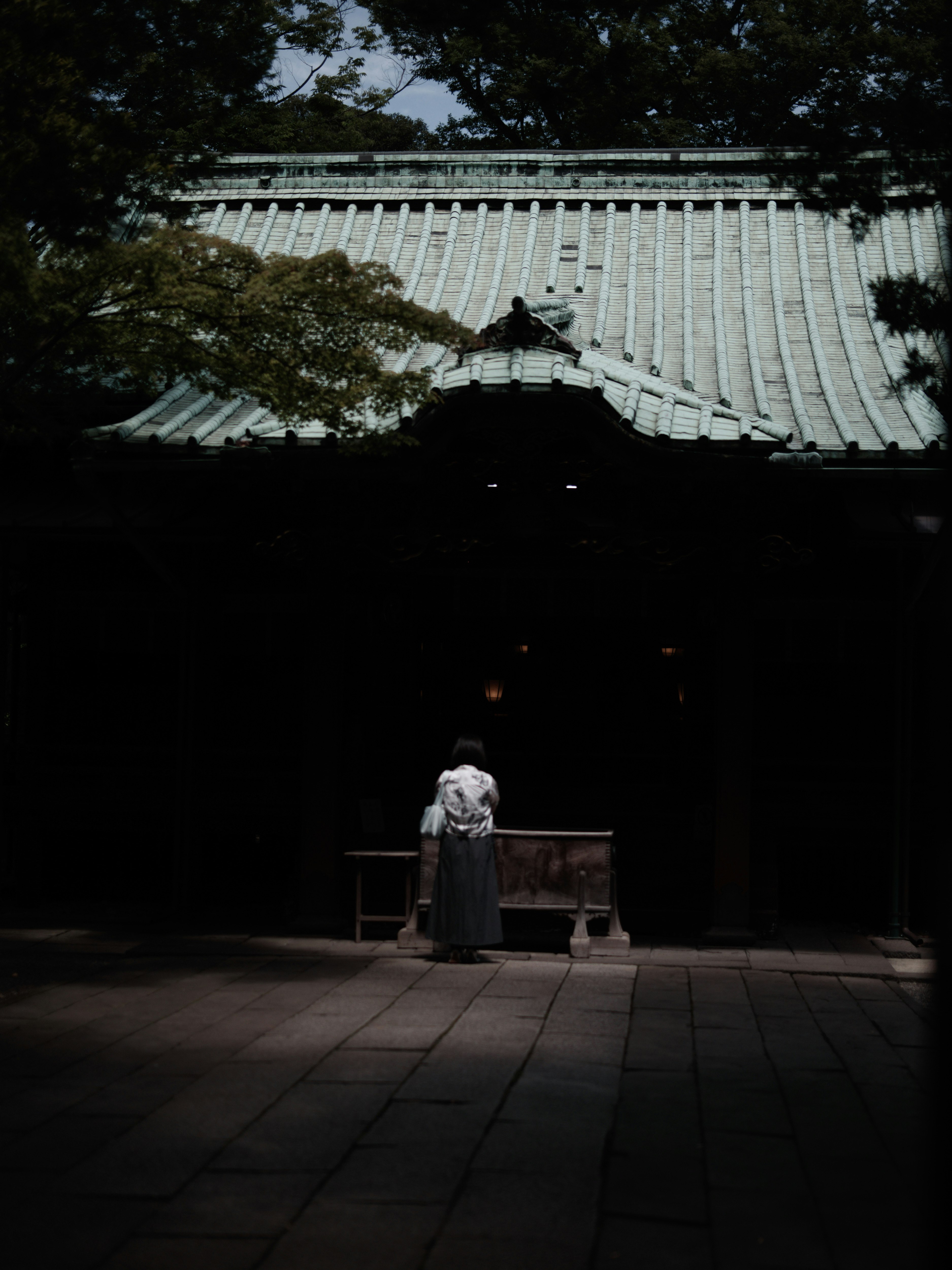 氷川神社の参拝者と石畳の境内、社殿の屋根が見える