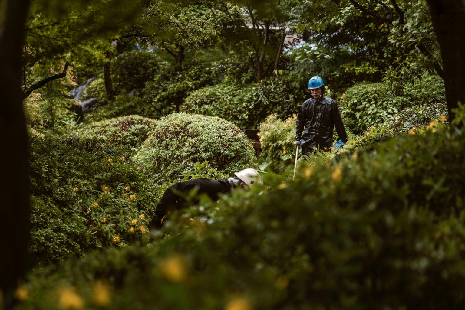 Person, die in einem üppigen Garten arbeitet, trägt einen blauen Helm und ist von Grün umgeben