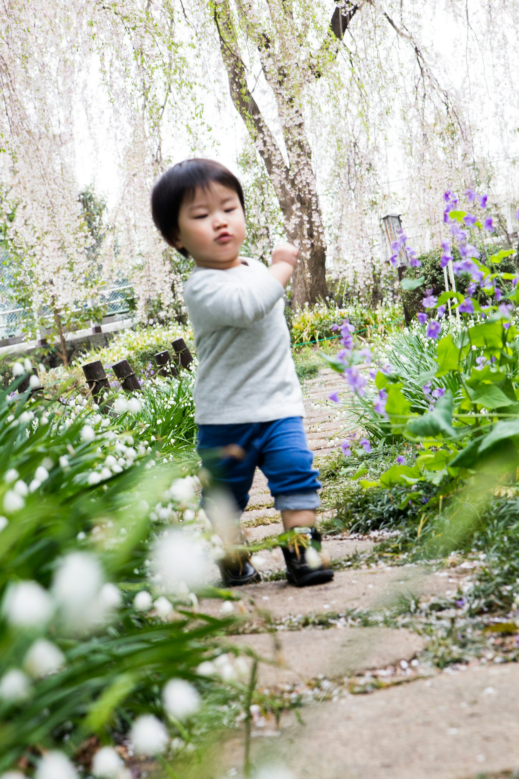 花叢旁的花園小徑上行走的幼兒