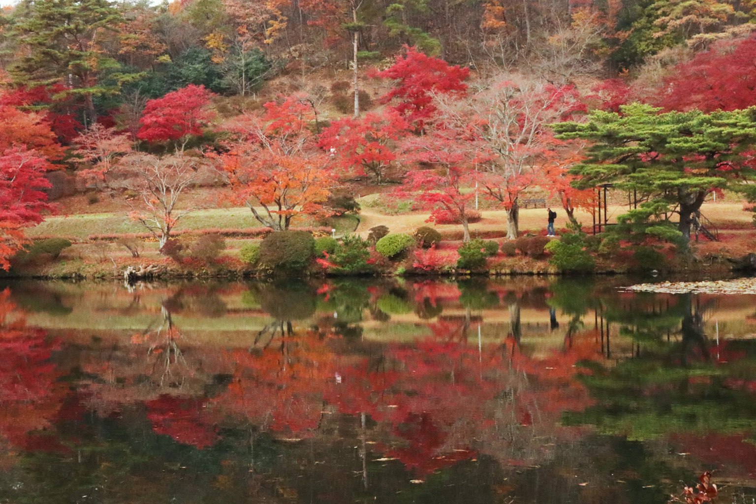 아름다운 가을 풍경과 호수에 비친 화려한 단풍