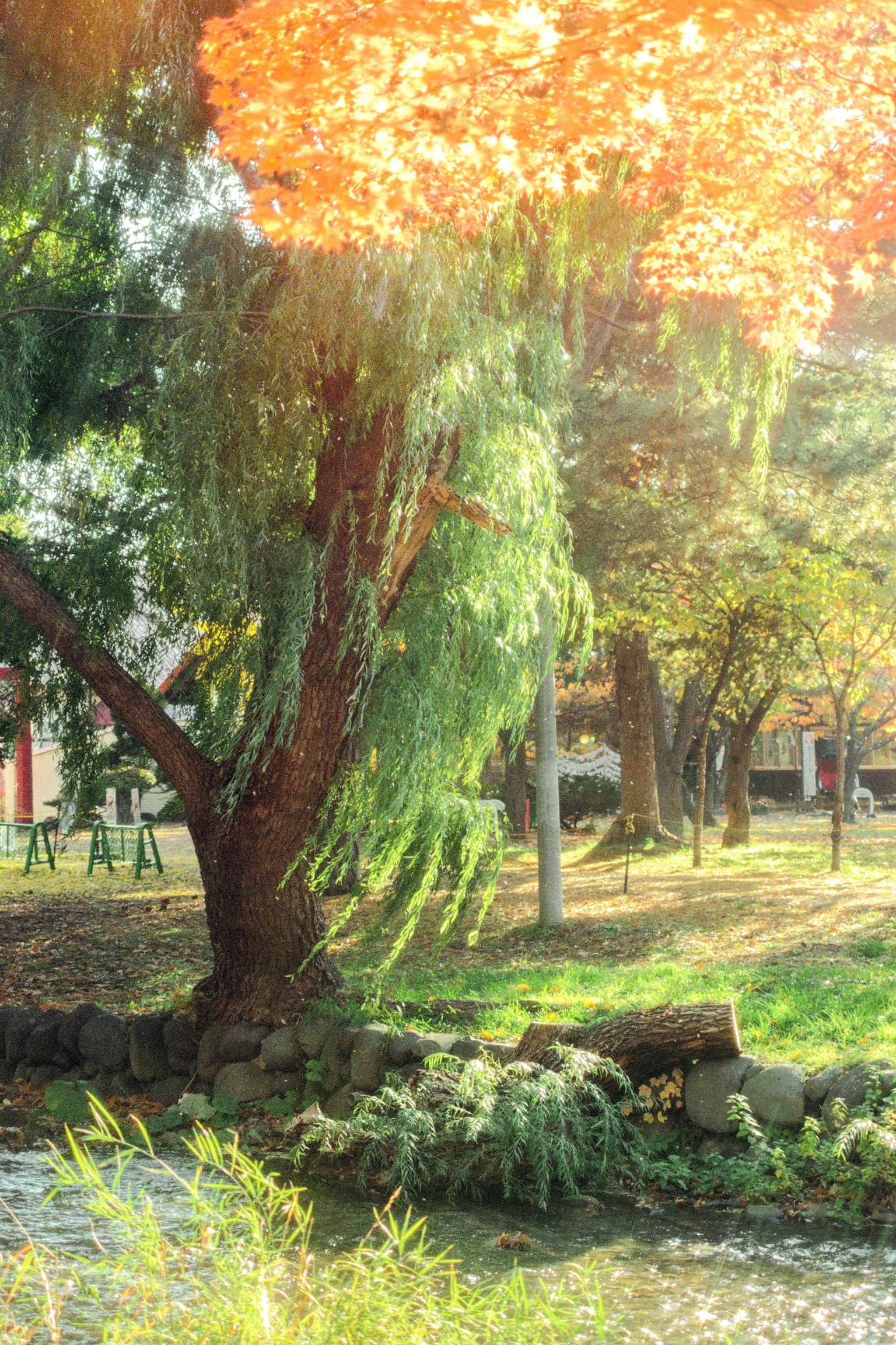 photo-a18natgq2Cvi84J6arq9-image