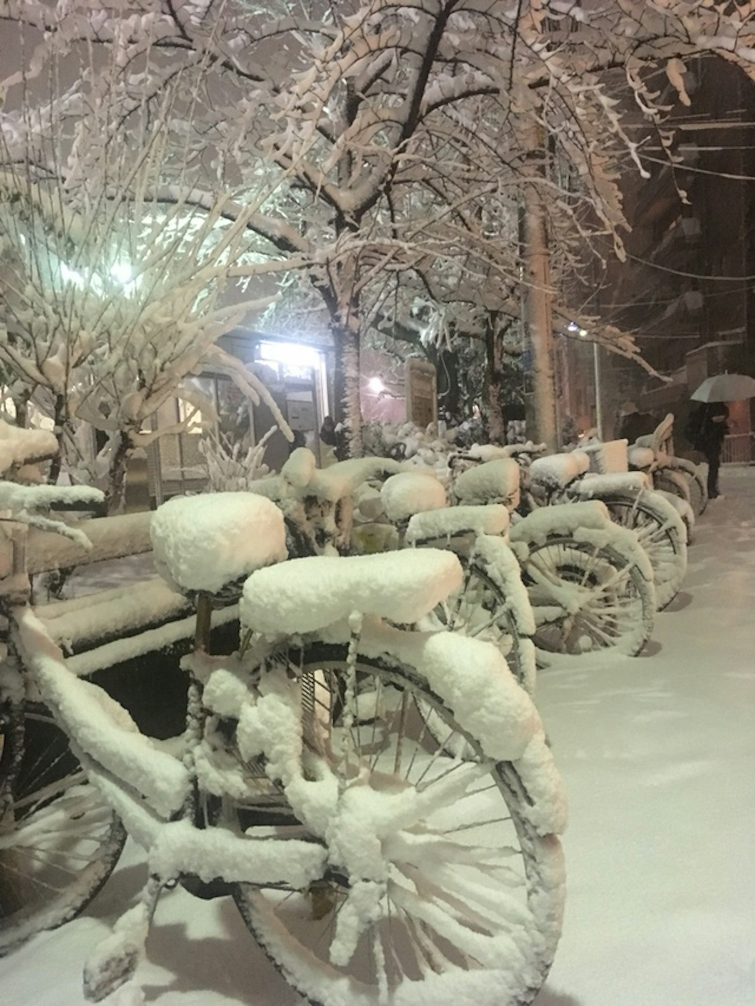 被雪覆盖的自行车在冬季场景中