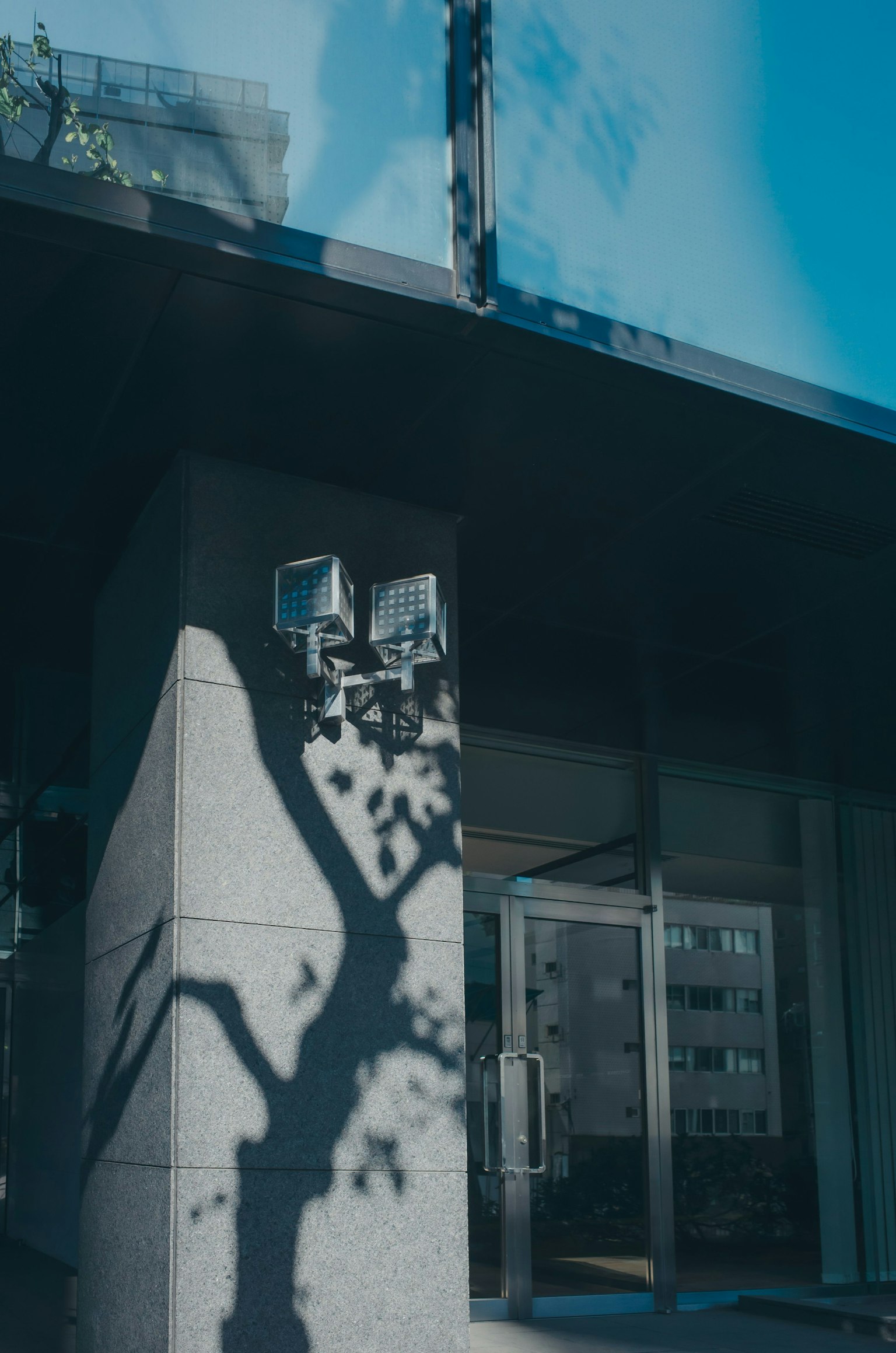 Modern building exterior with tree shadows