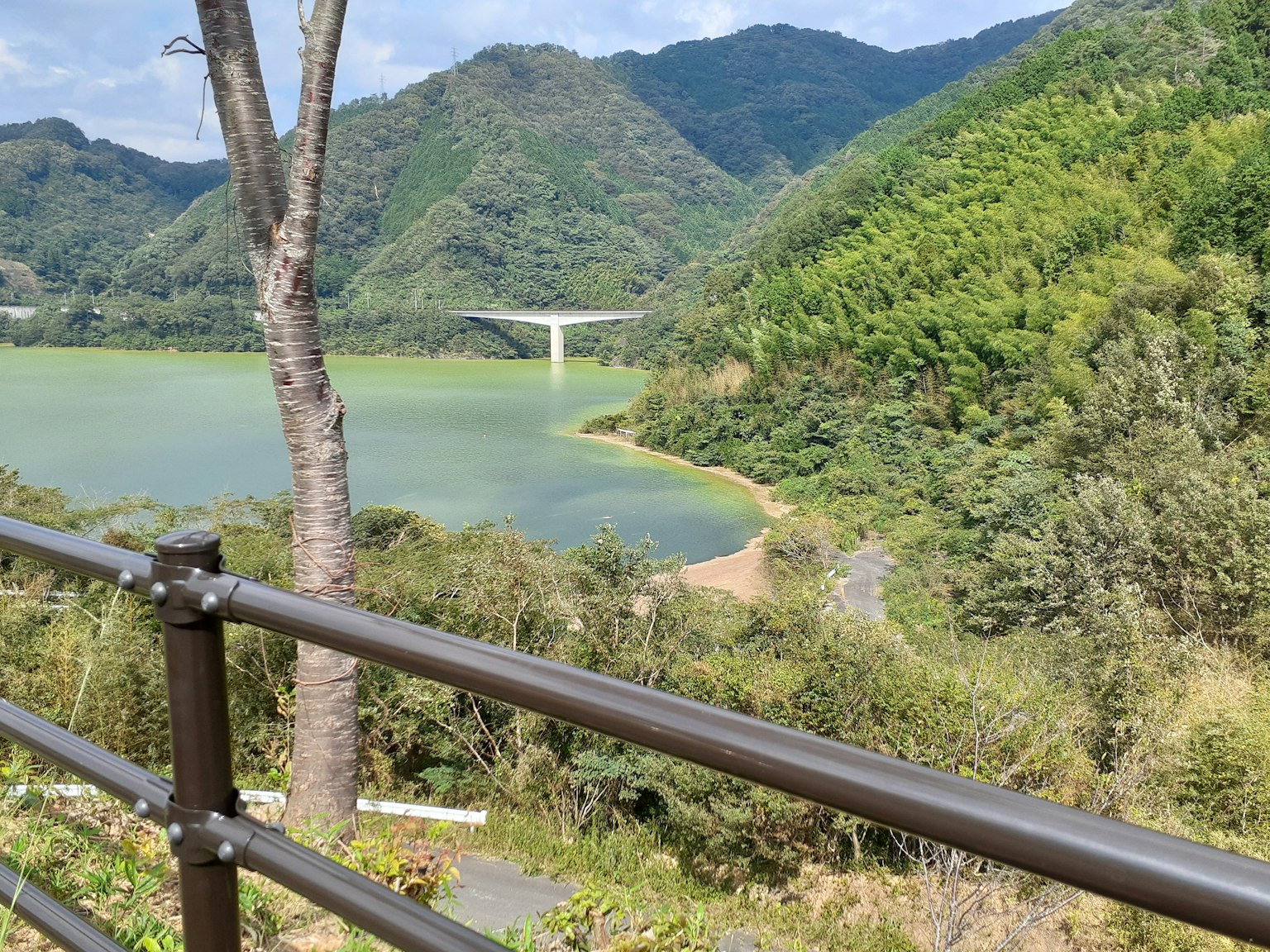 ทิวทัศน์ที่สวยงามของภูเขาเขียวขจีและทะเลสาบพร้อมทางเดินที่มีรั้วข้างหน้า